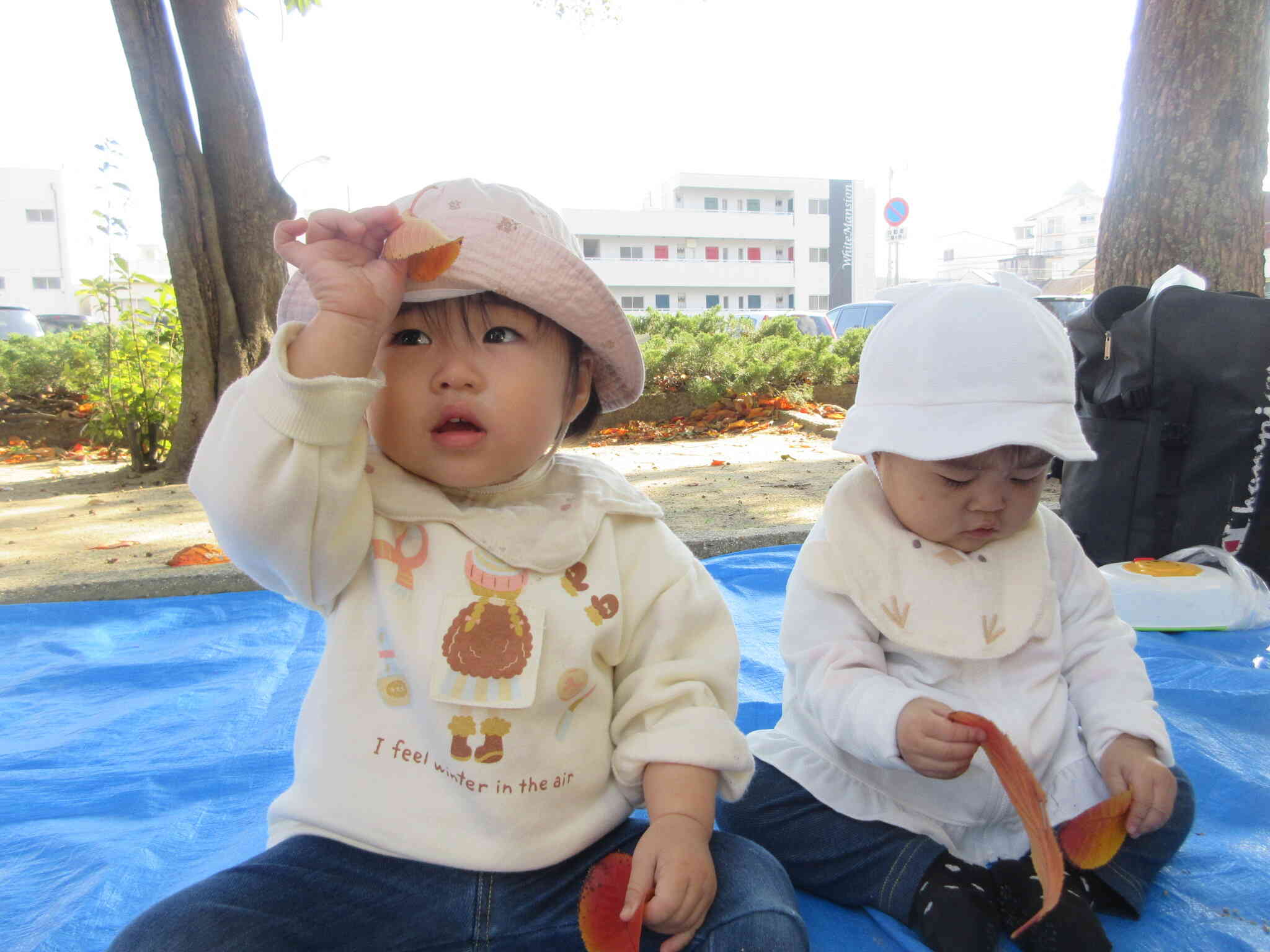 秋の自然物に興味津々！