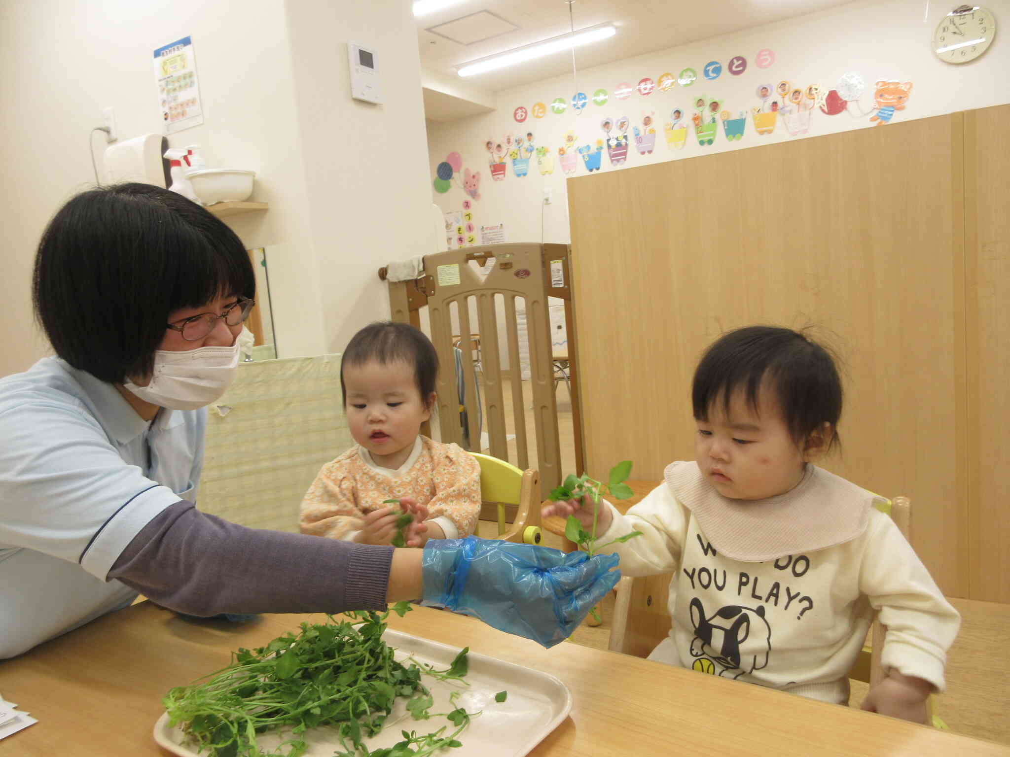 七草に触れたよ♪「何これ？」と不思議そうな顔をしていた子どもたちです。