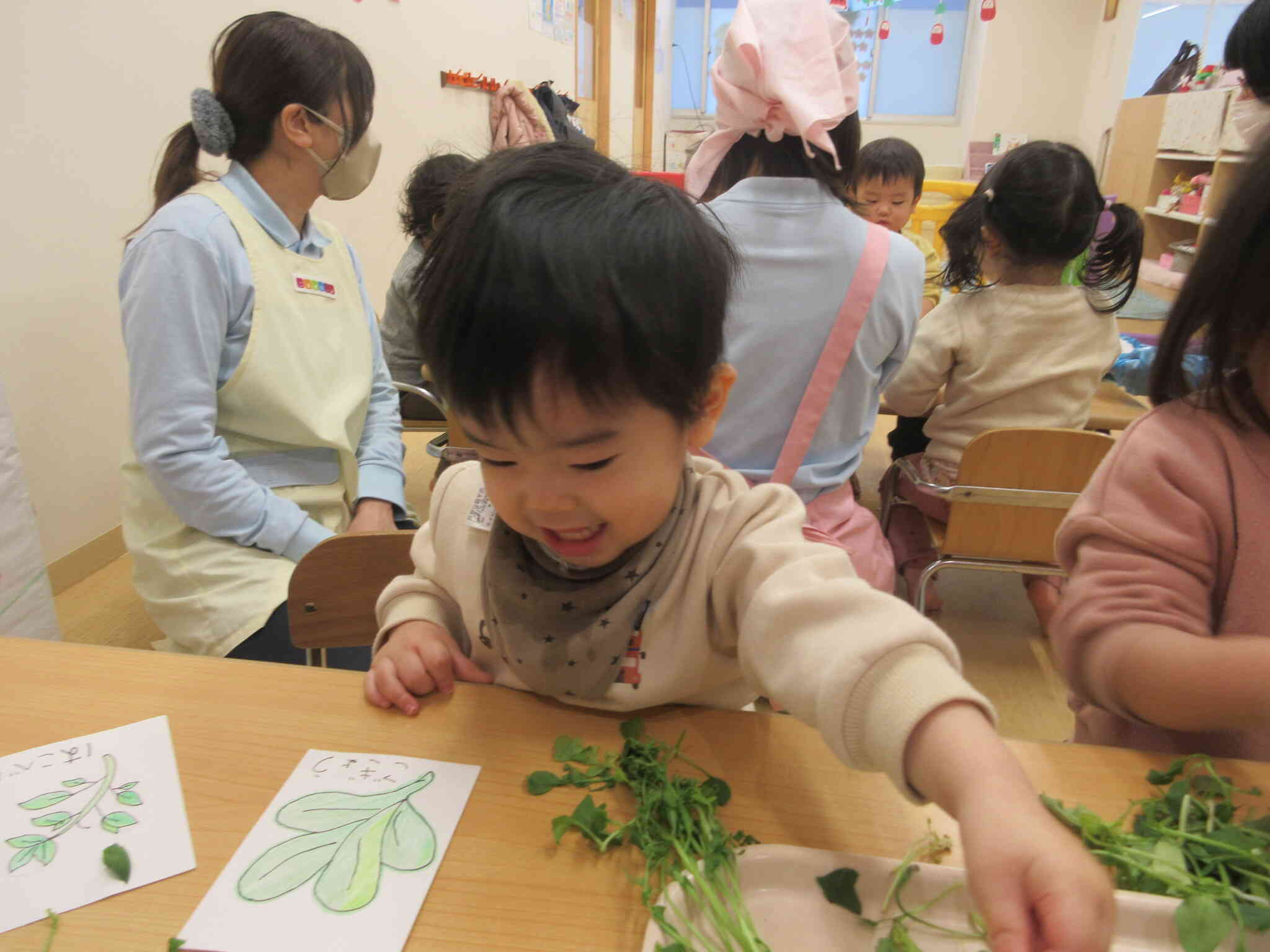 いろんな種類があるよ！