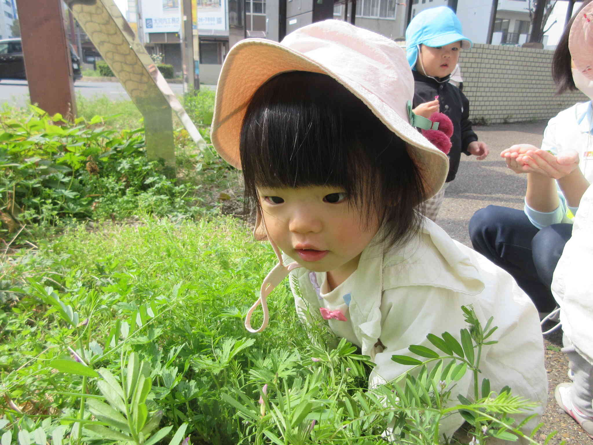 春のお散歩♪何を見つけたのかな？