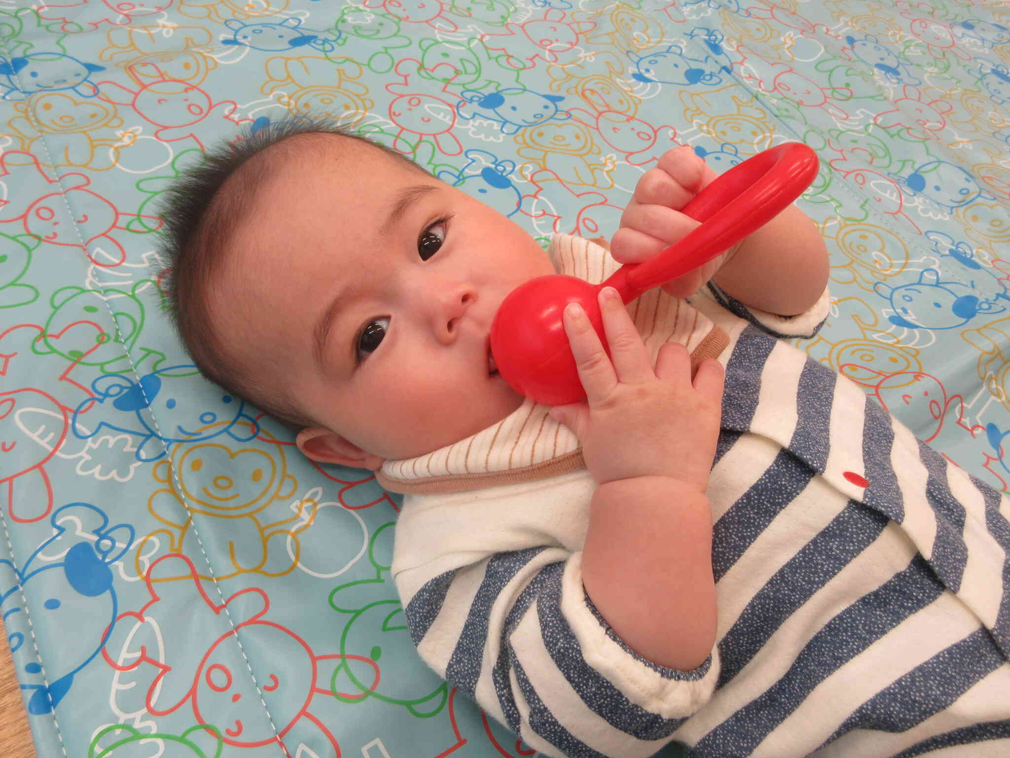 新しいお友だちがたくさん入園しました♡