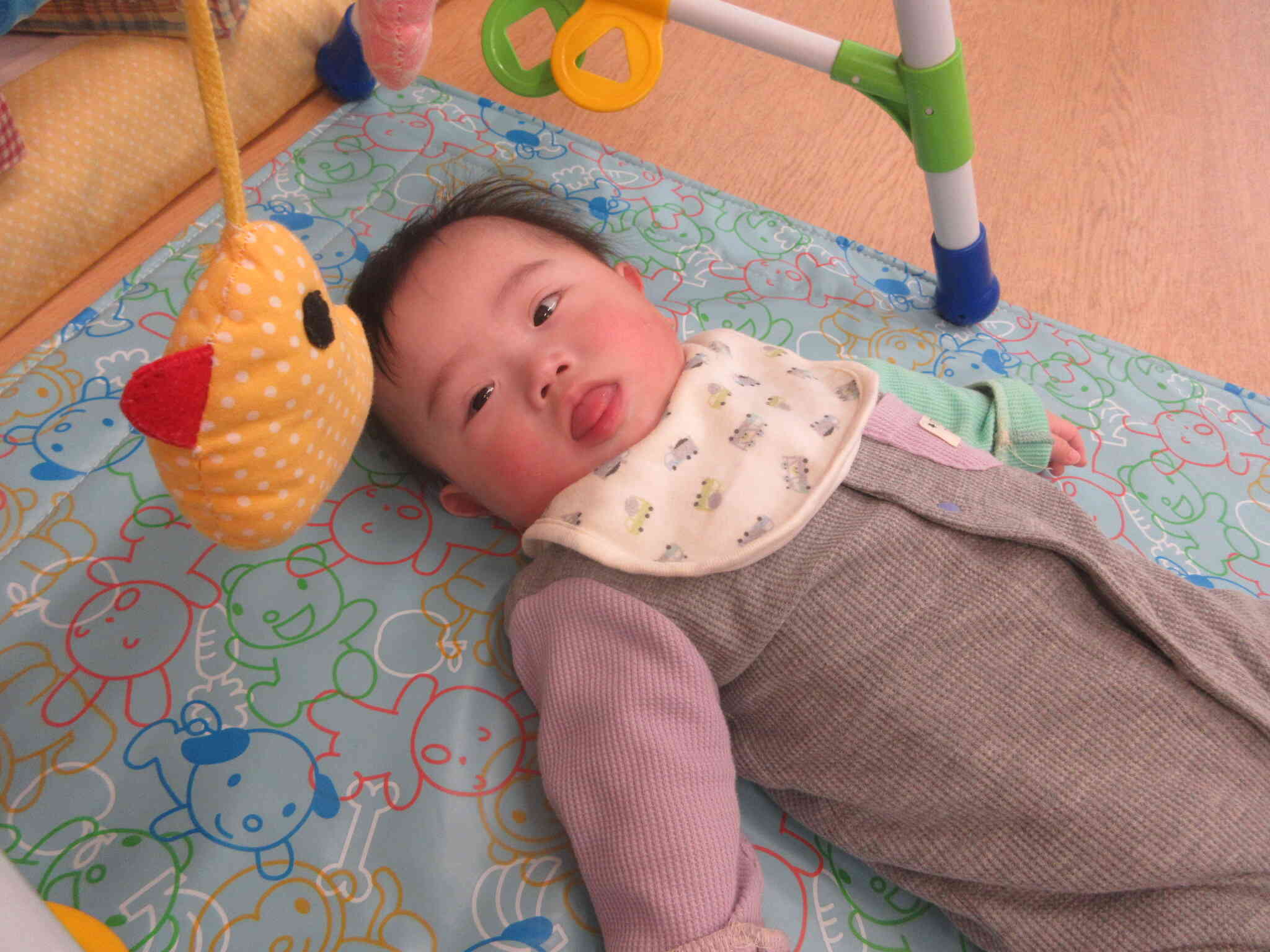 ひよこさん、こんにちは♪