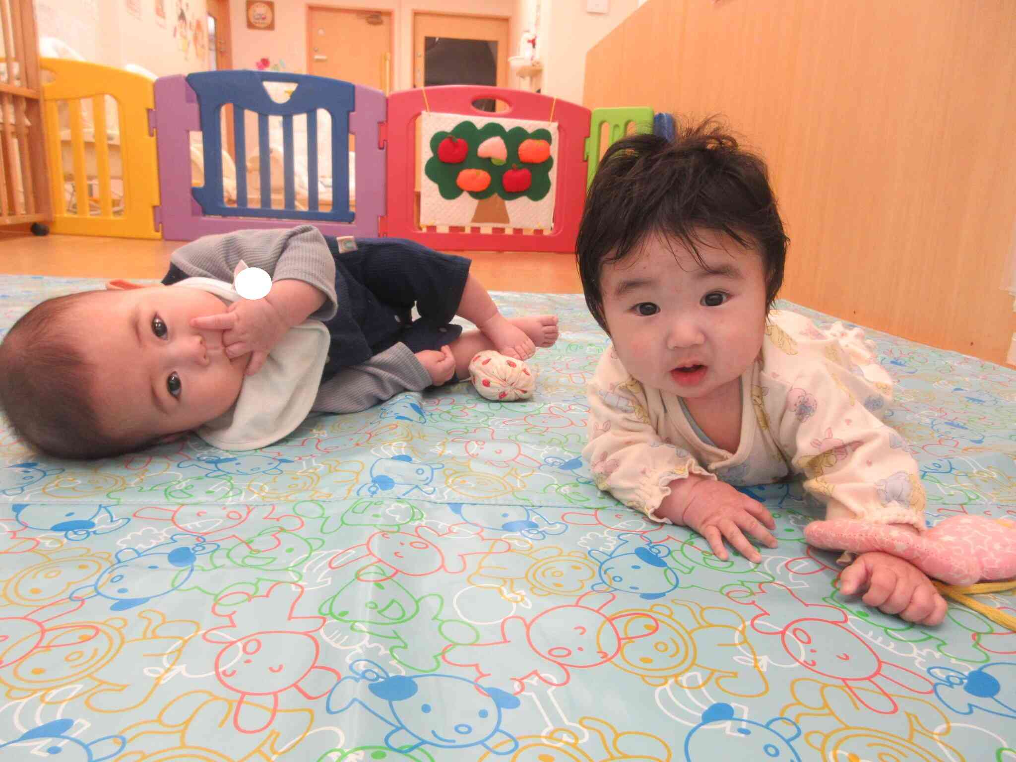 新しいお友だちが増えました♪（0歳児　ひよこ組）