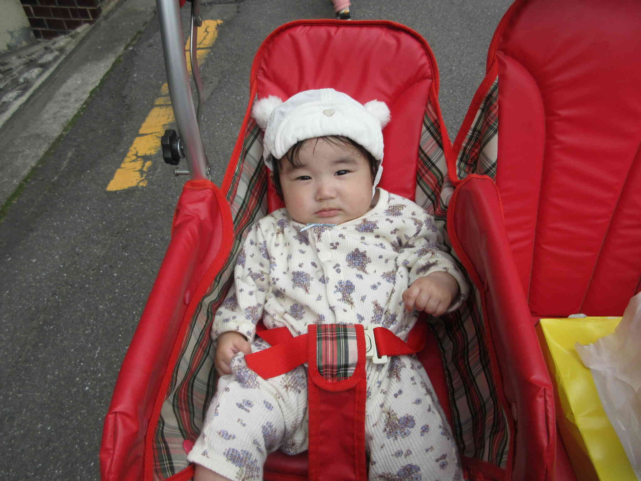 お散歩が大好きなお友だち！楽しいね♡