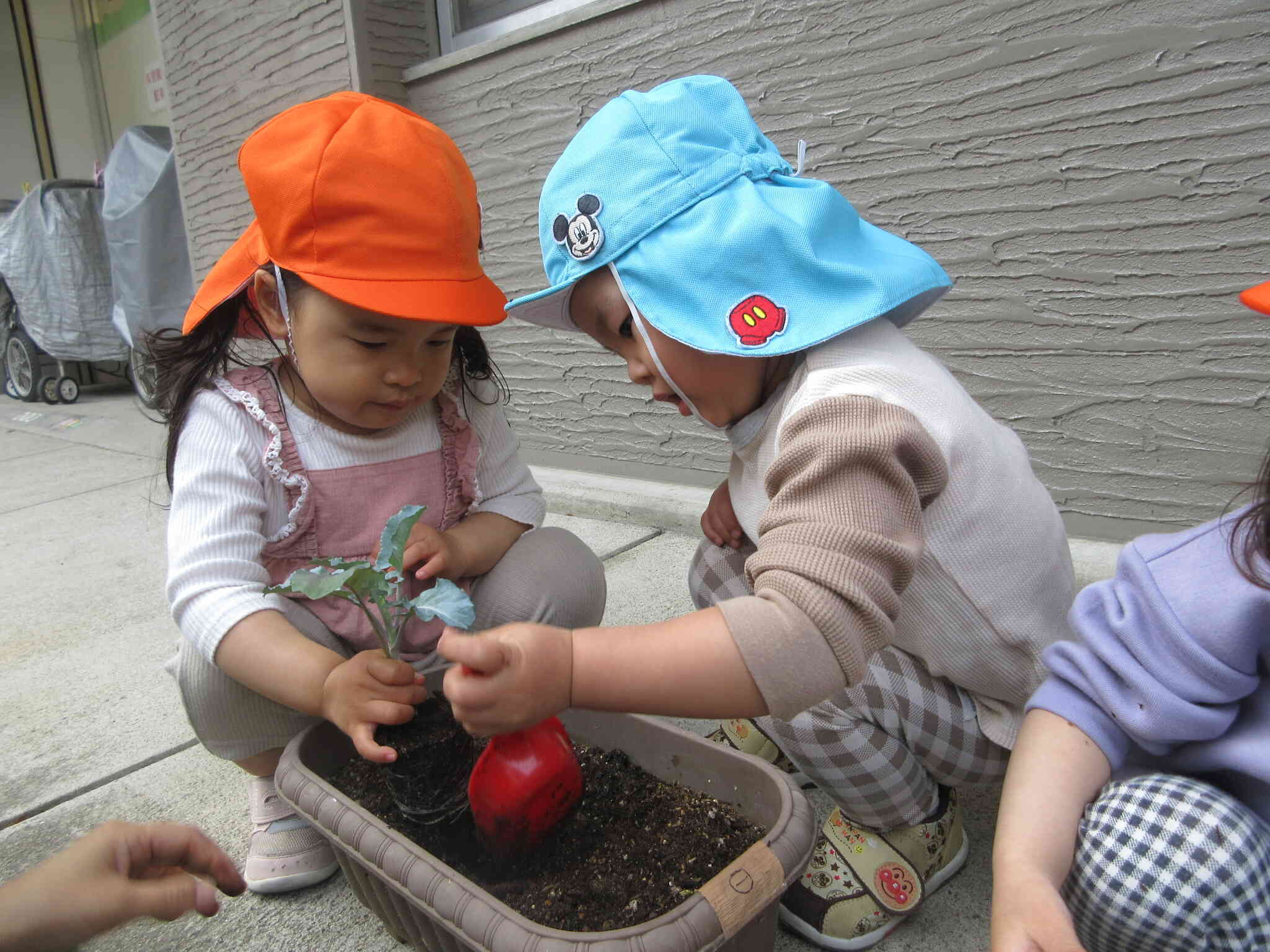 今週の遊びの様子☆（1歳児　あひる組　2歳児　うさぎ組）