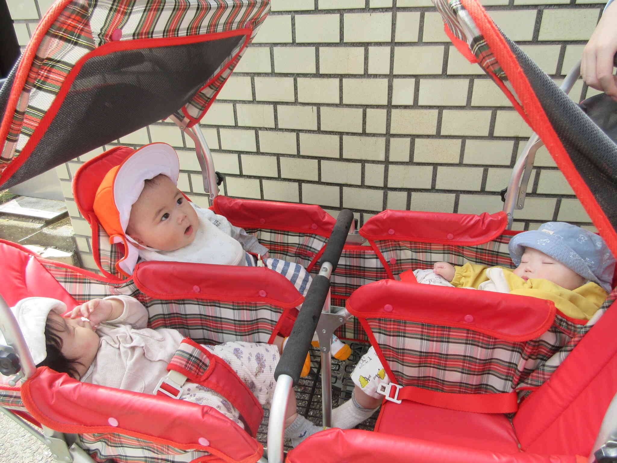 ぐっすり眠っているお友だち！