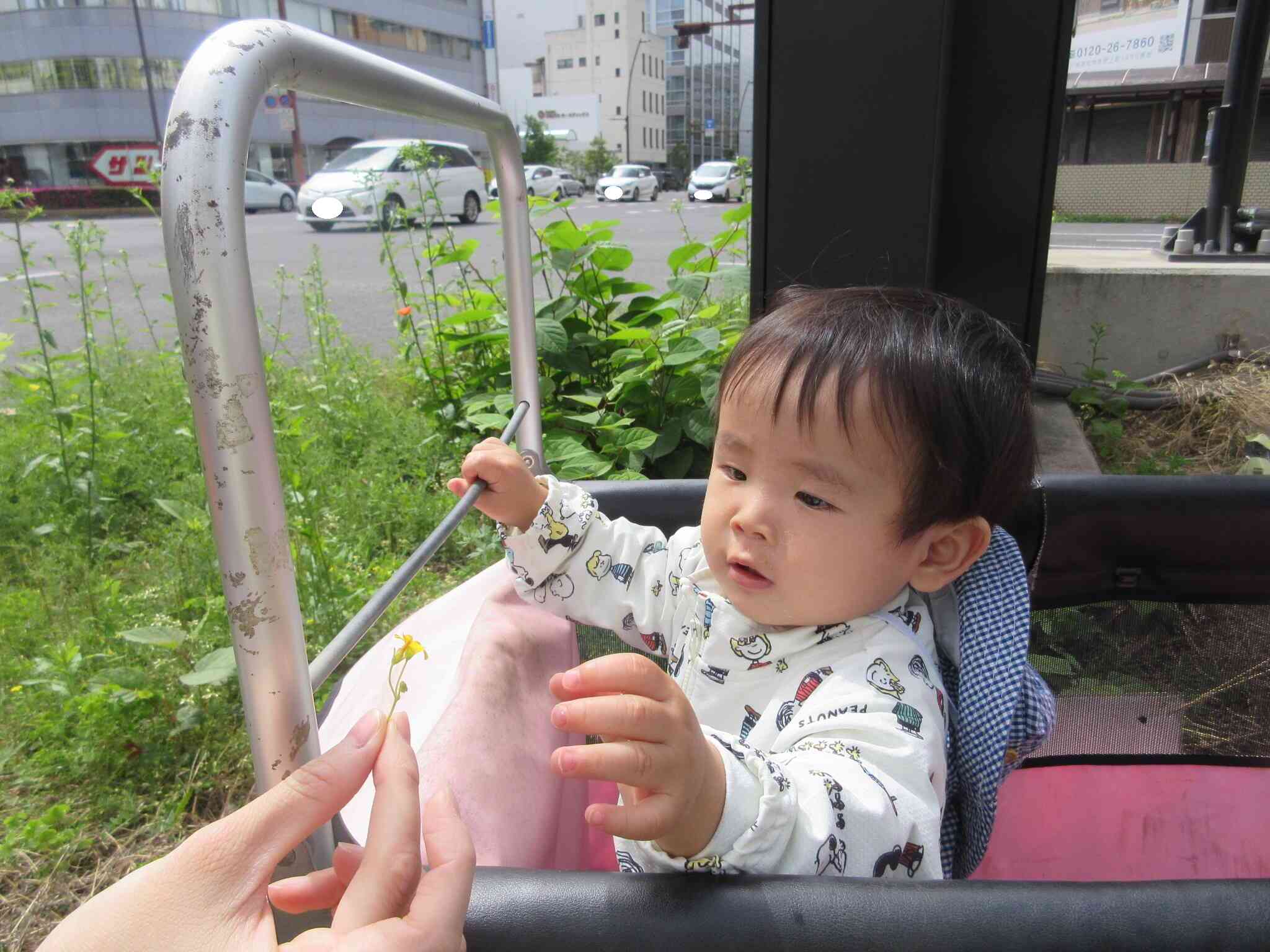 園周辺のお散歩に行きました♪（０歳児　ひよこ組）