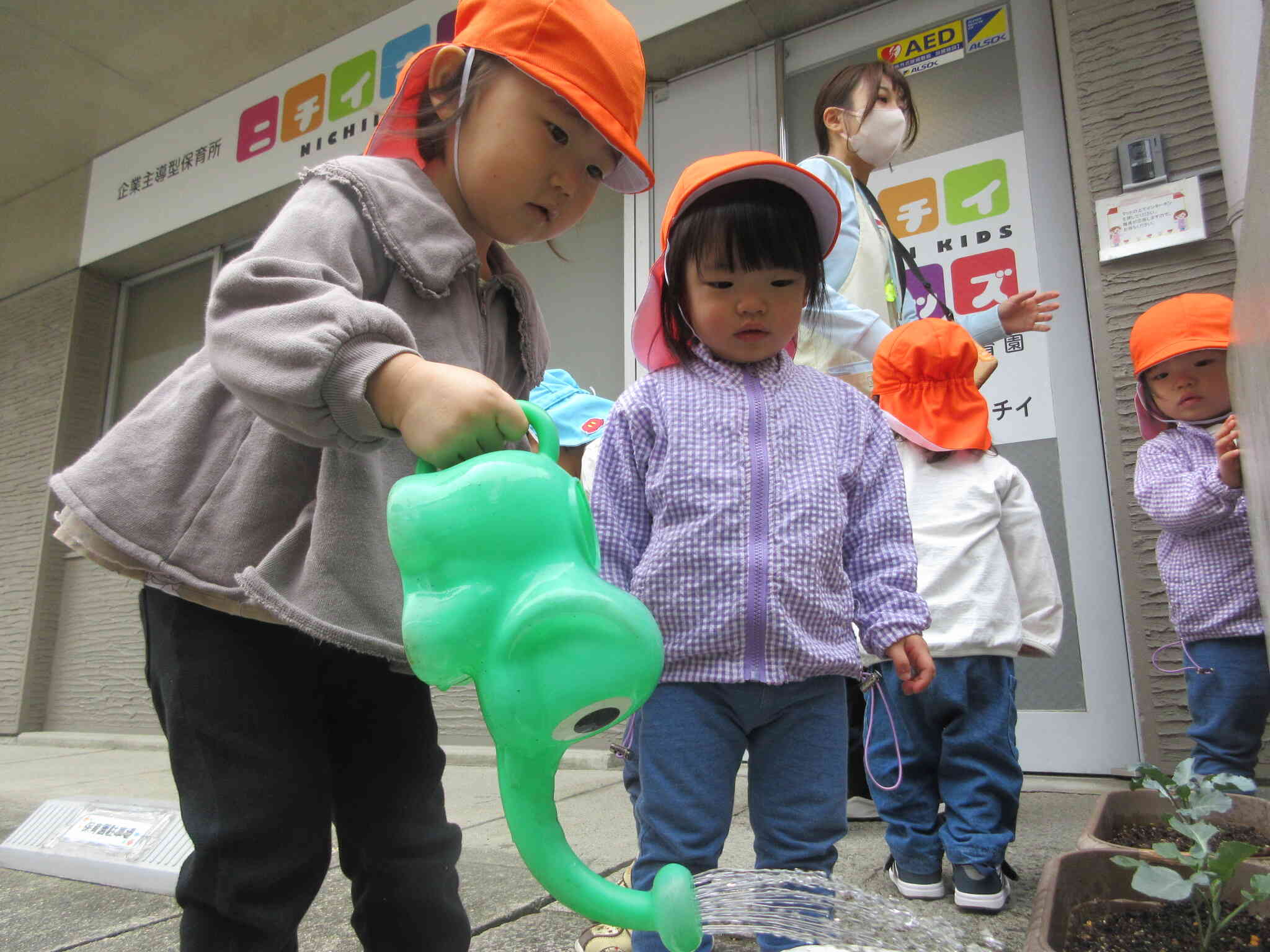 お水やりをしたよ♪