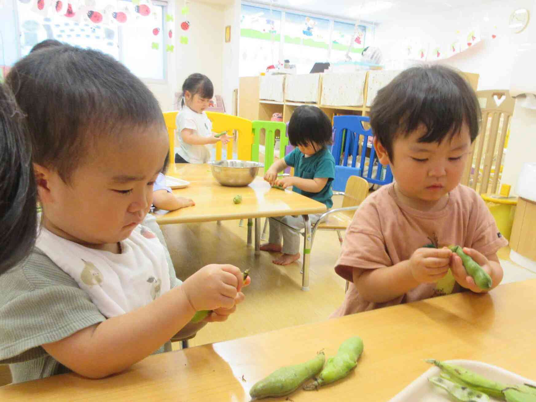 豆を触ってみたよ!(食育)
