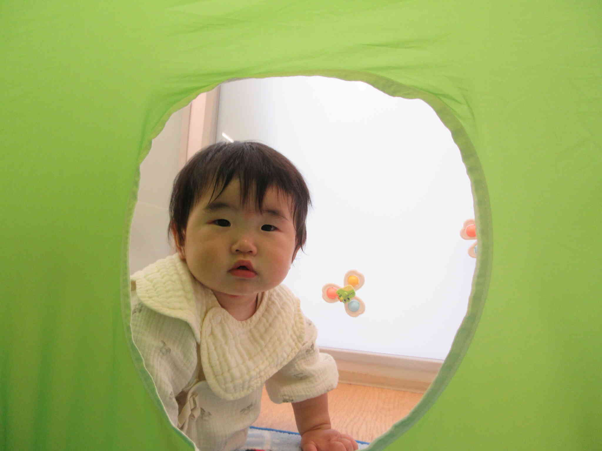 テント遊びをしたよ！（0歳児　ひよこ組）