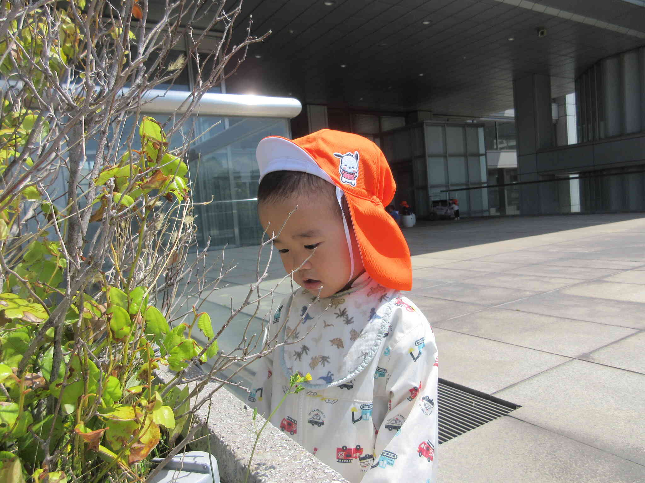 何を見つけたのかな？