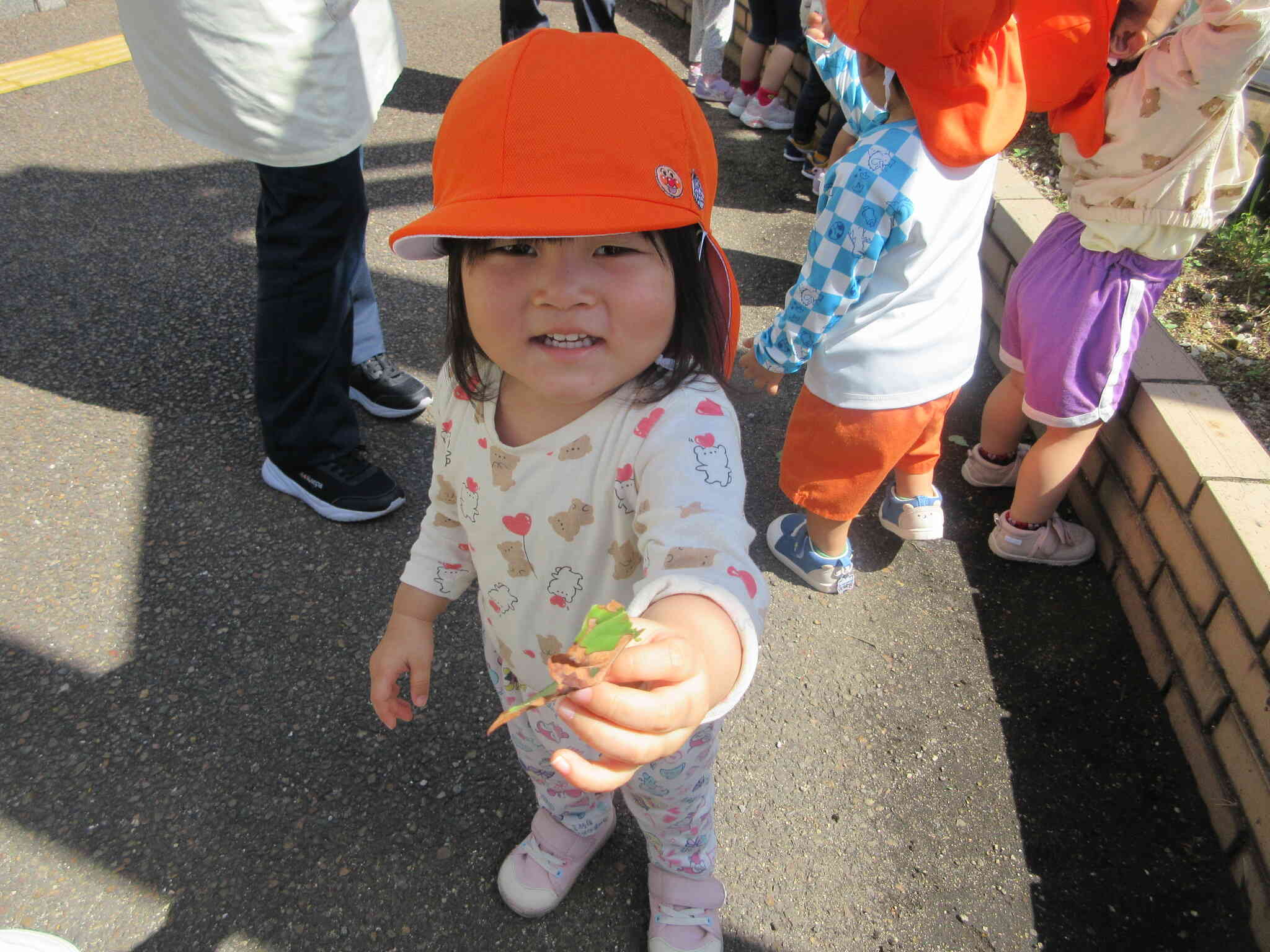 花壇で葉っぱを見つけたよ♪