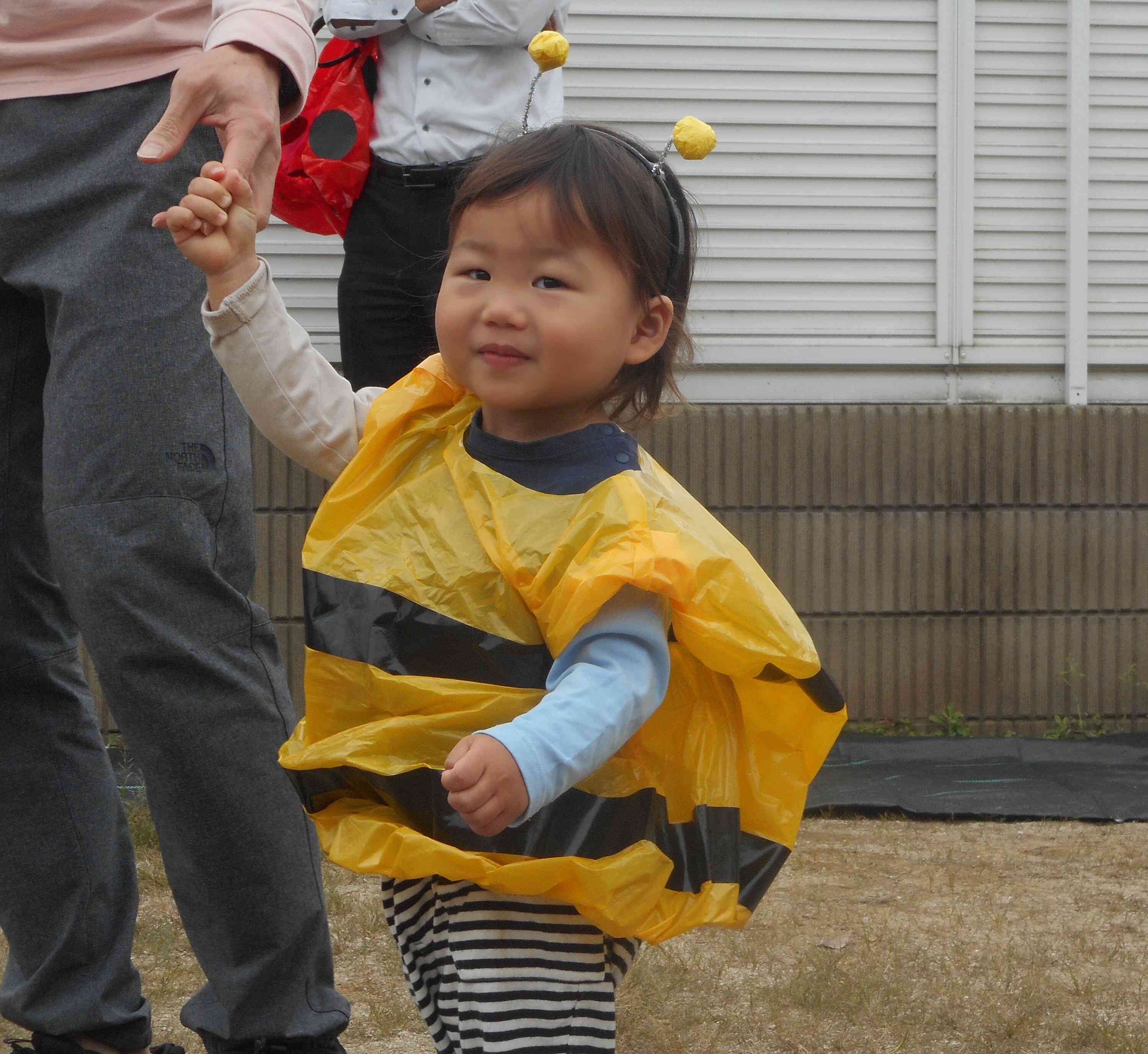 ハチの衣装かわいいね♪