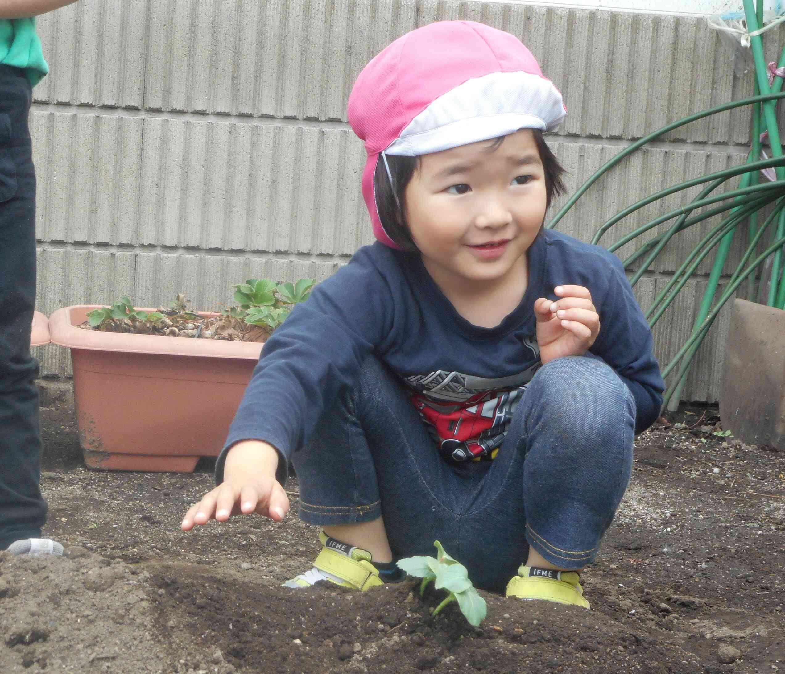 上手に植えられました(^^)/