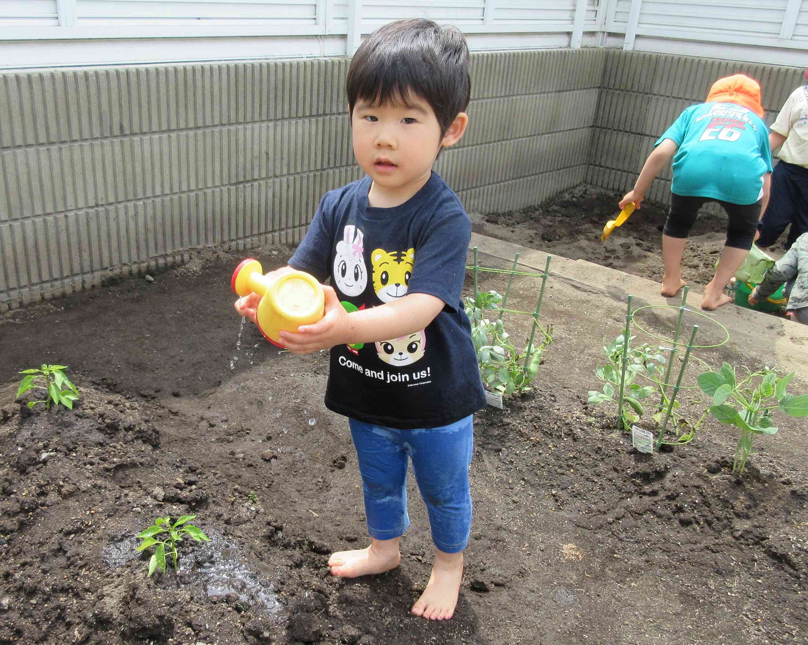 水やりのお手伝いをしたよ!