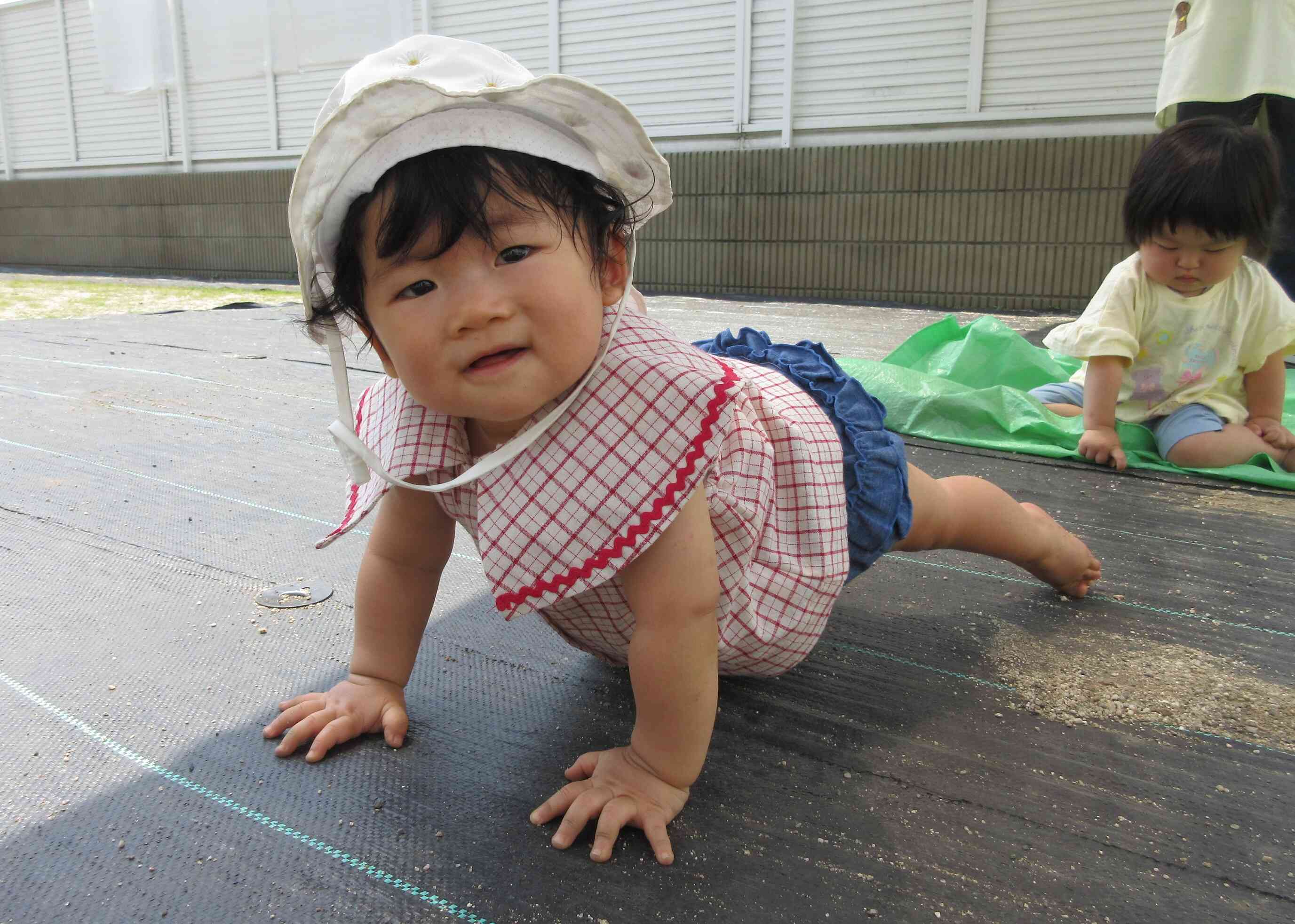 高這いに挑戦！