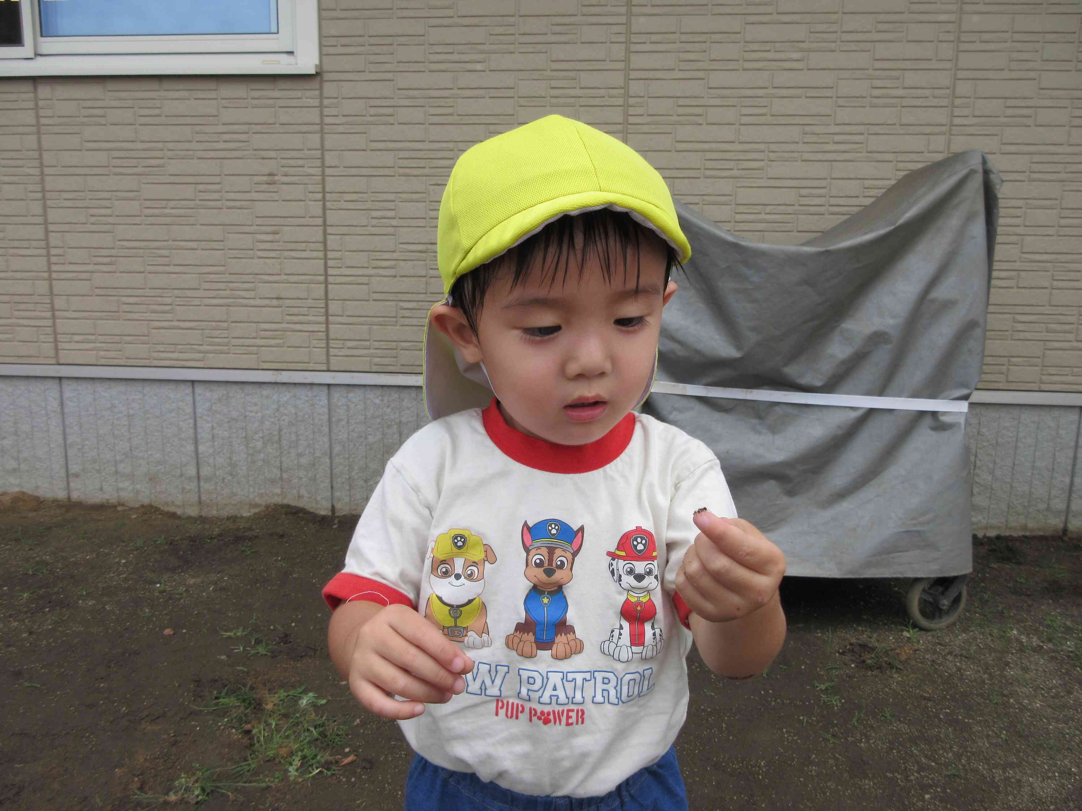 あり捕まえられたよ！