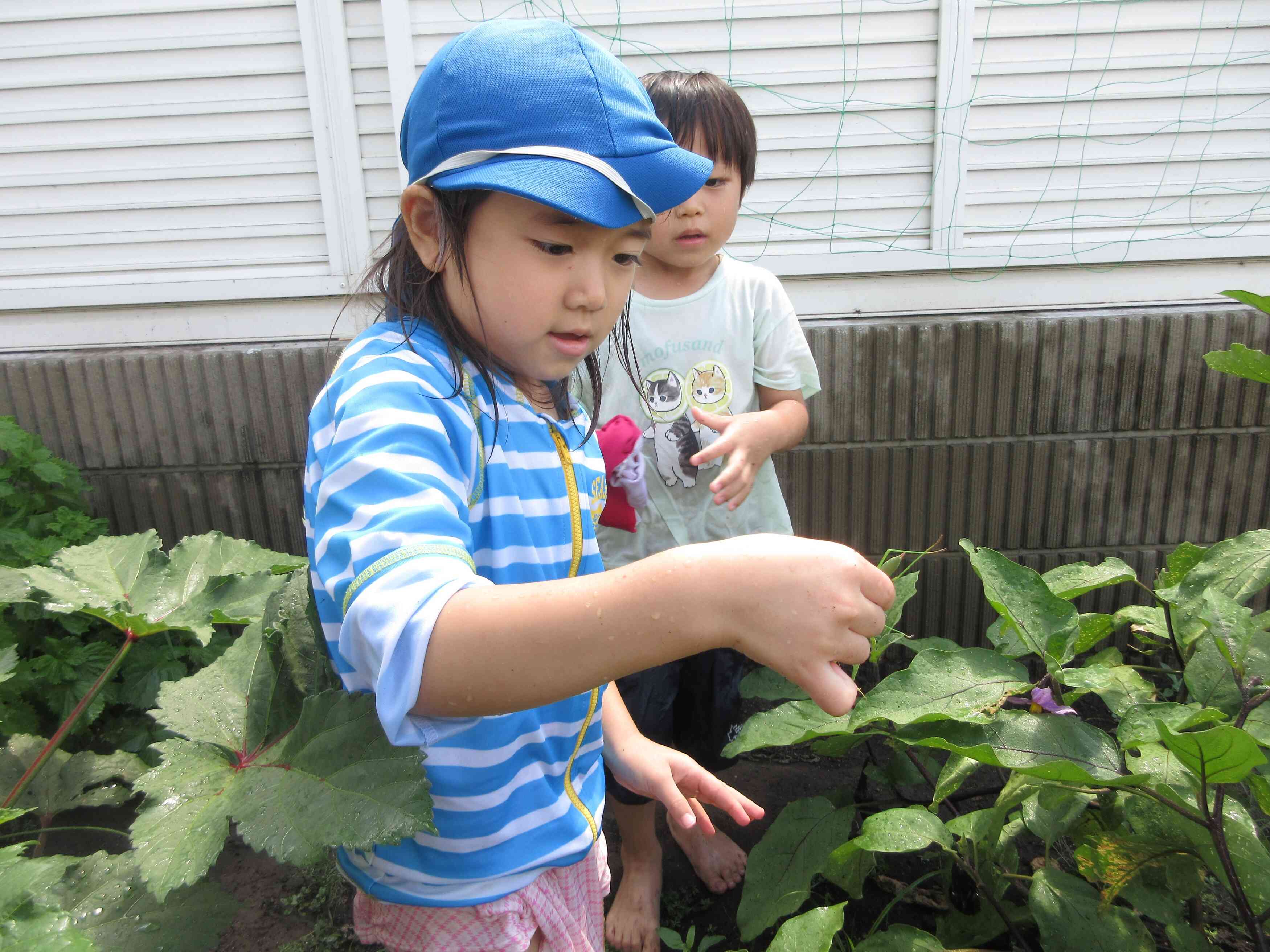 「カマキリがいるよ！」