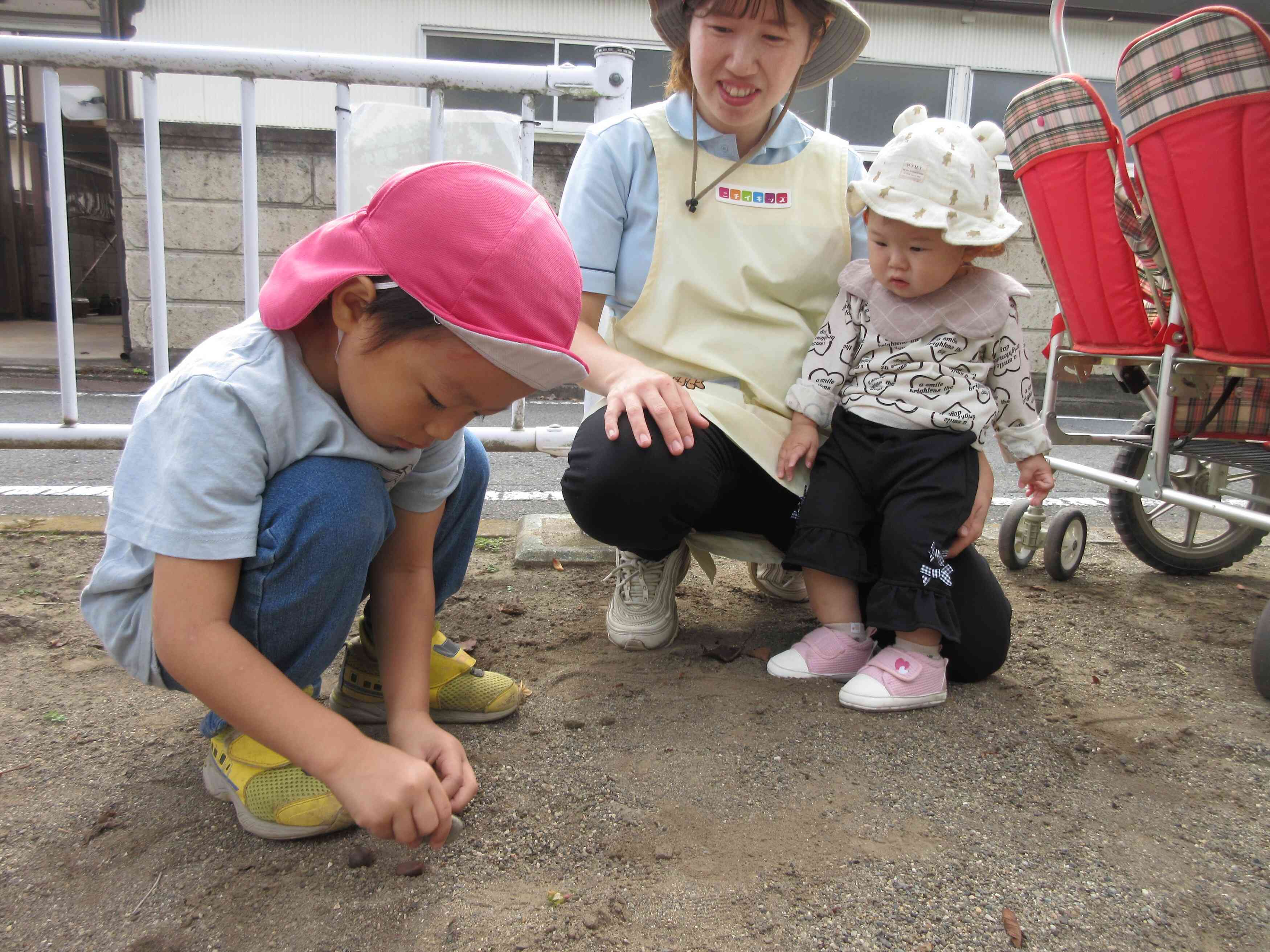 木の実をひろったよ