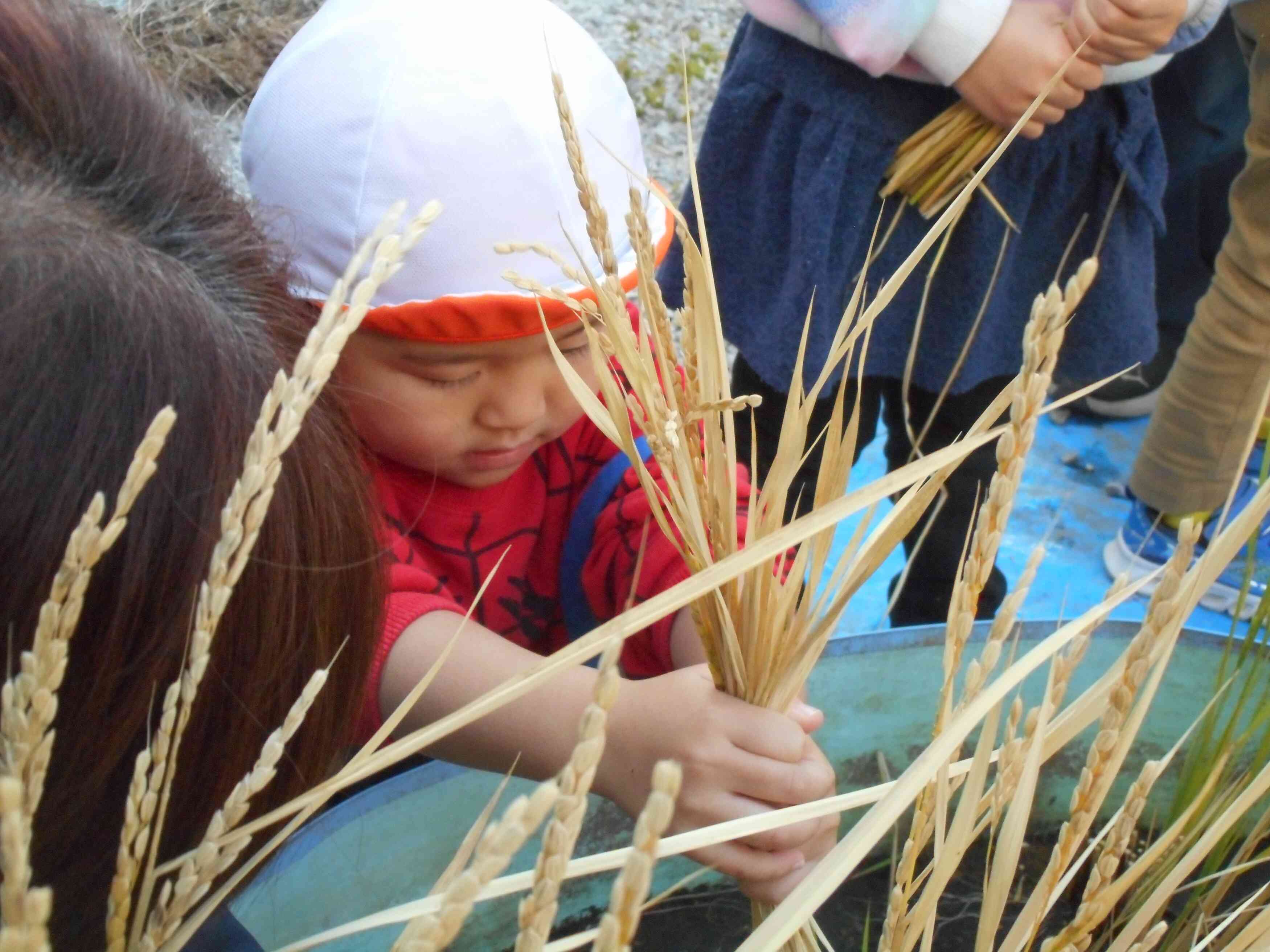 ここをもってみよう！