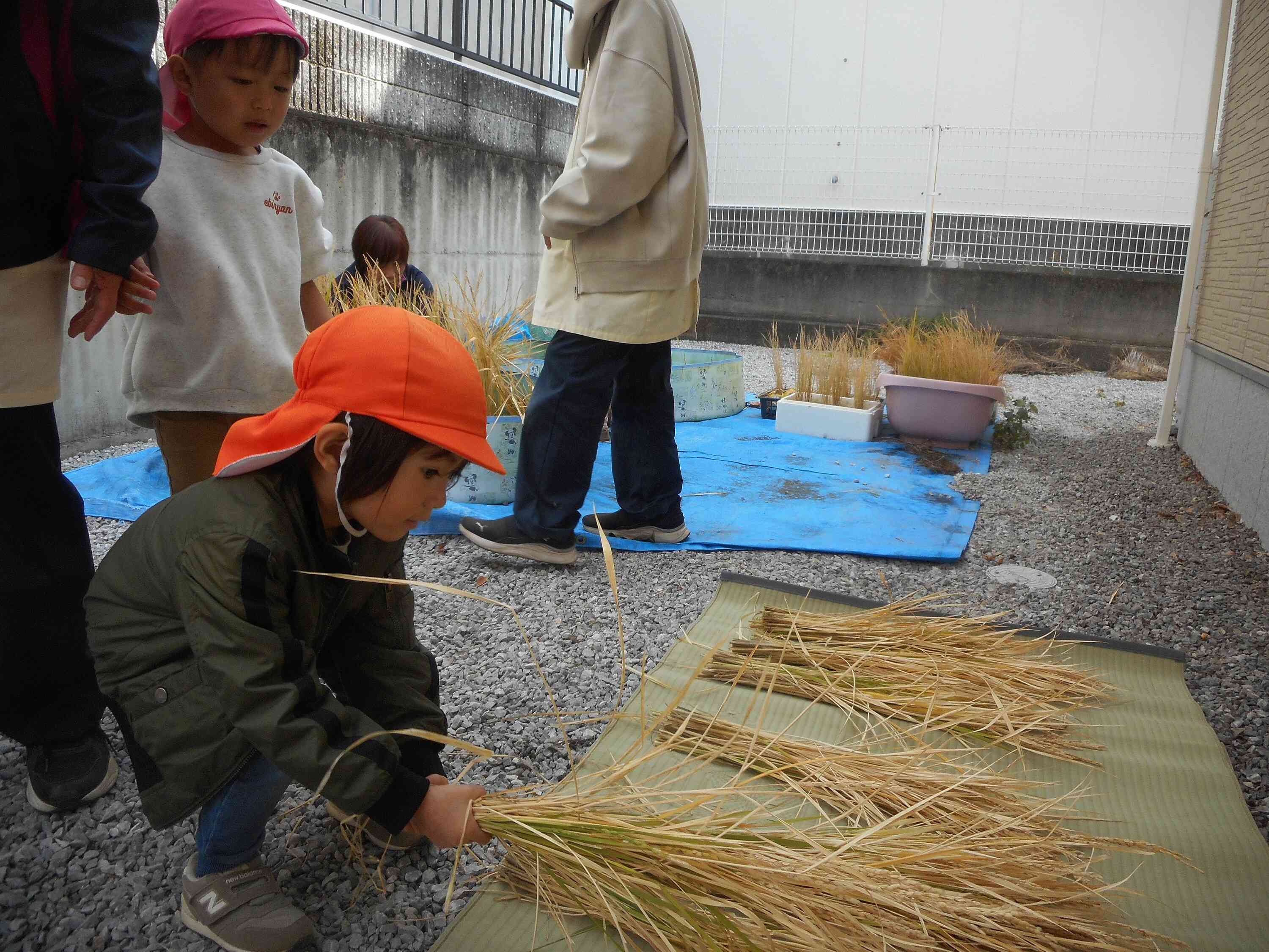 きれいに置けるよ！