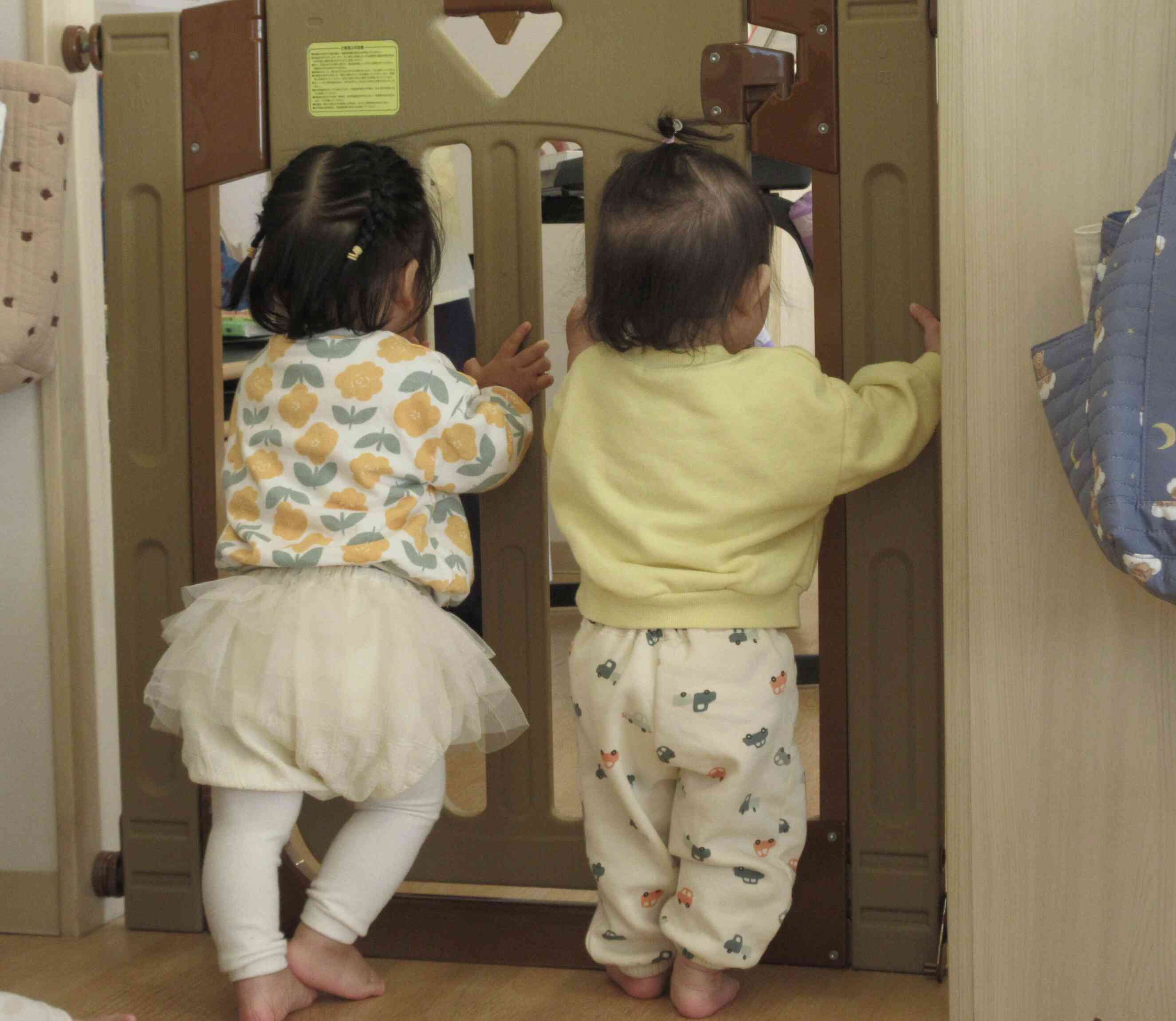 隣のお部屋からピアノの音が聞こえる・・ちょっと覗いてみよう!