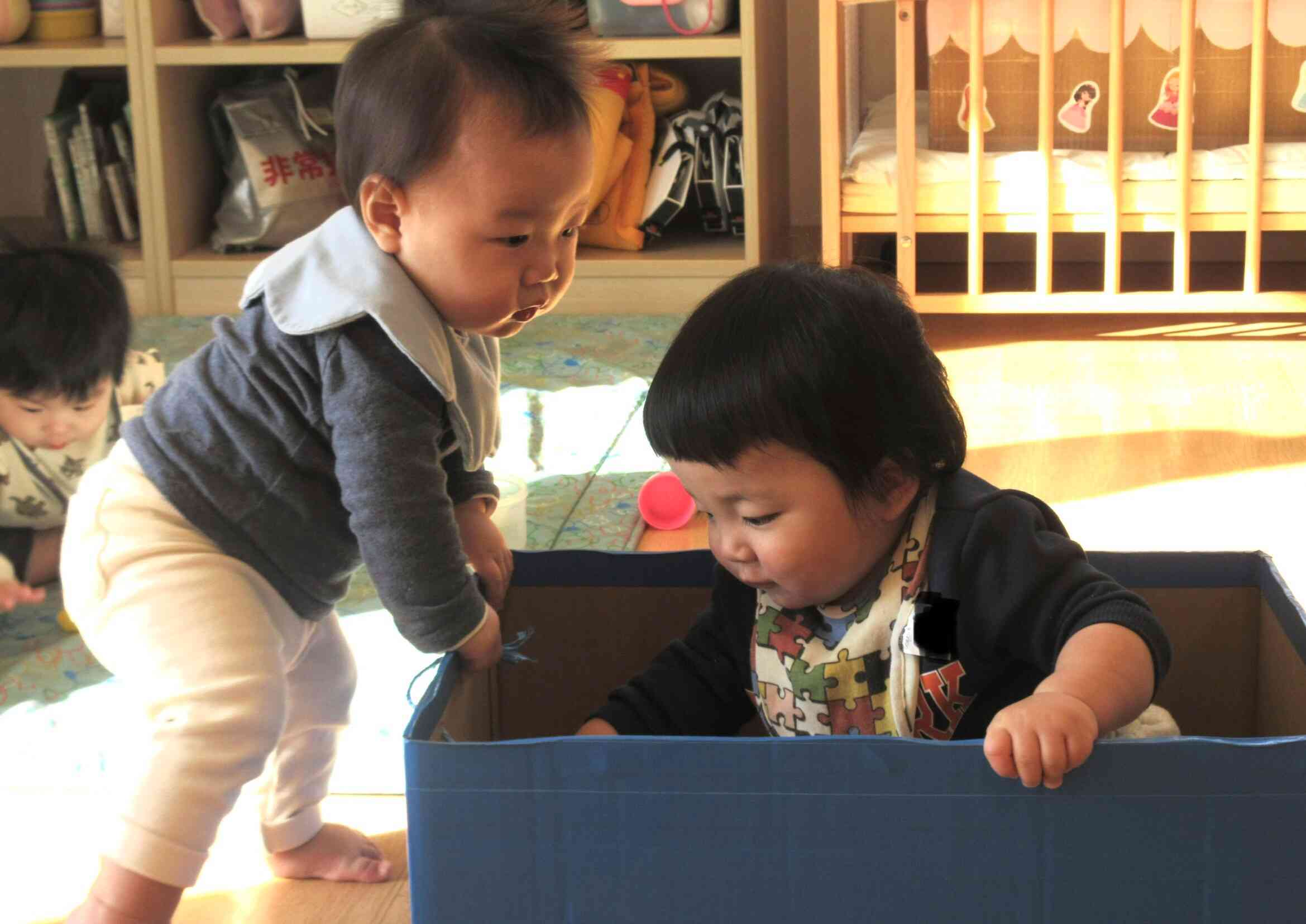 箱の中に入るの 楽しい~♪ 僕も入れてー!