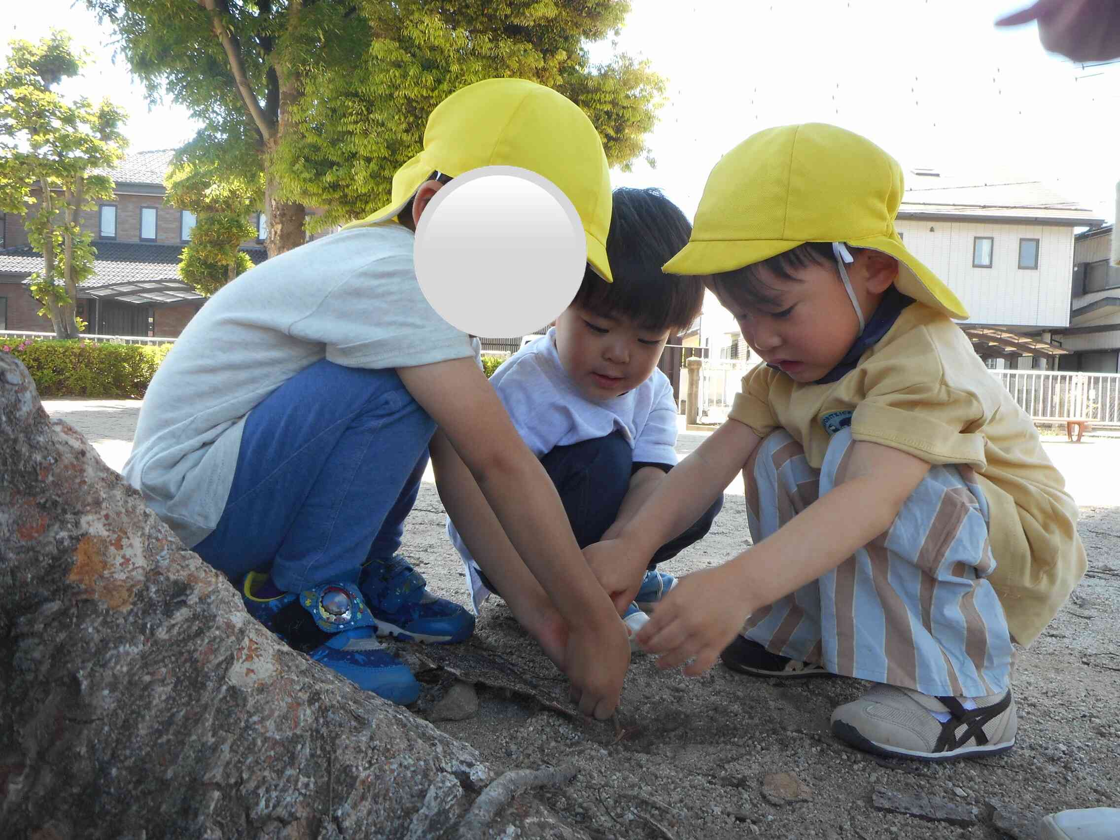 抜いてみよう！