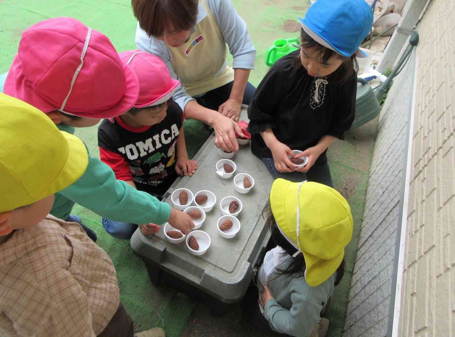 どうなったかな？