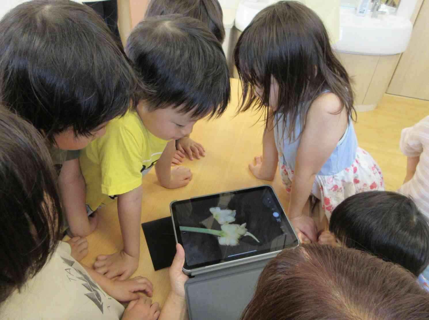 のびるを見つけたよ(3・4・5歳児)