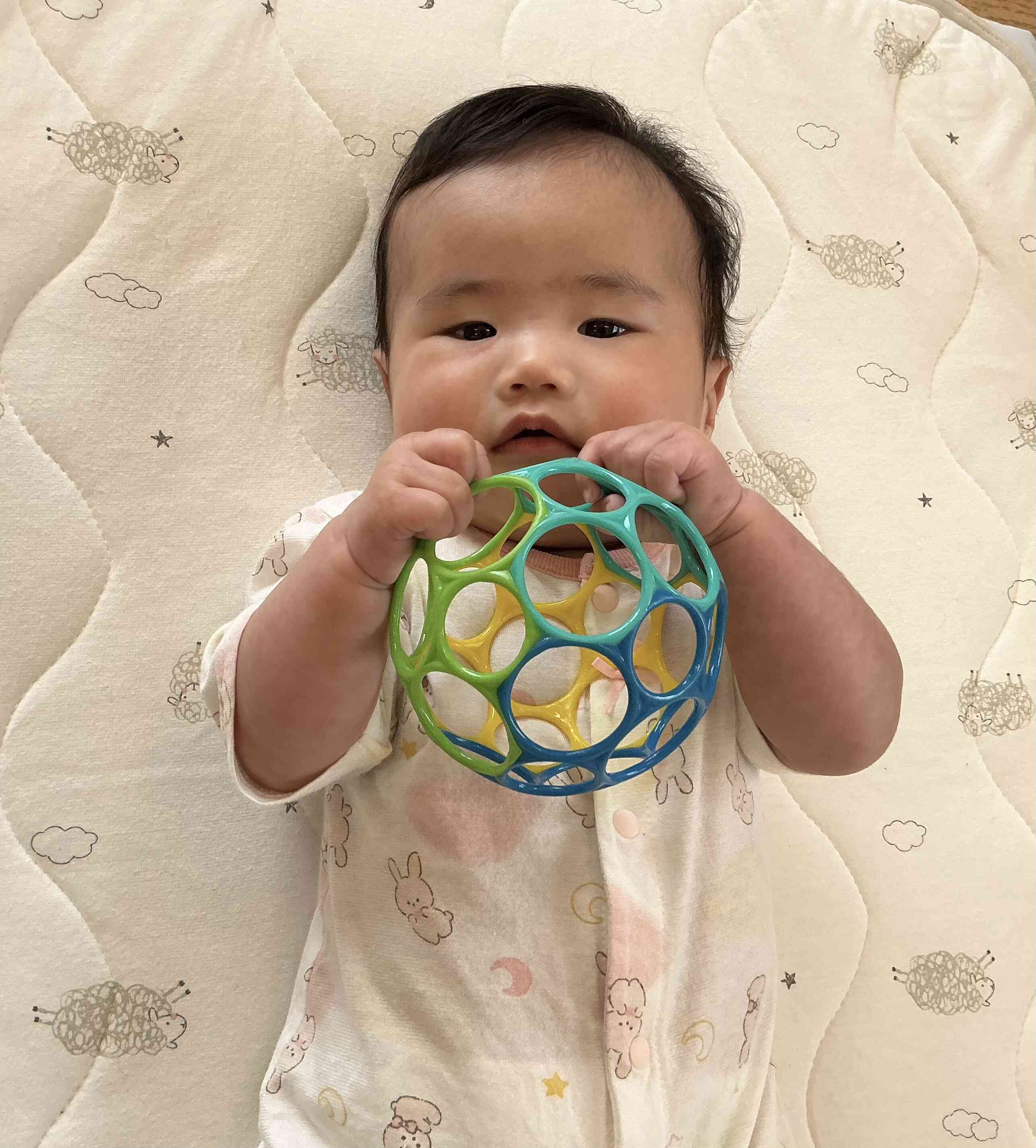 ひよこ組（0歳児）あひる1組（1歳児）の活動の様子