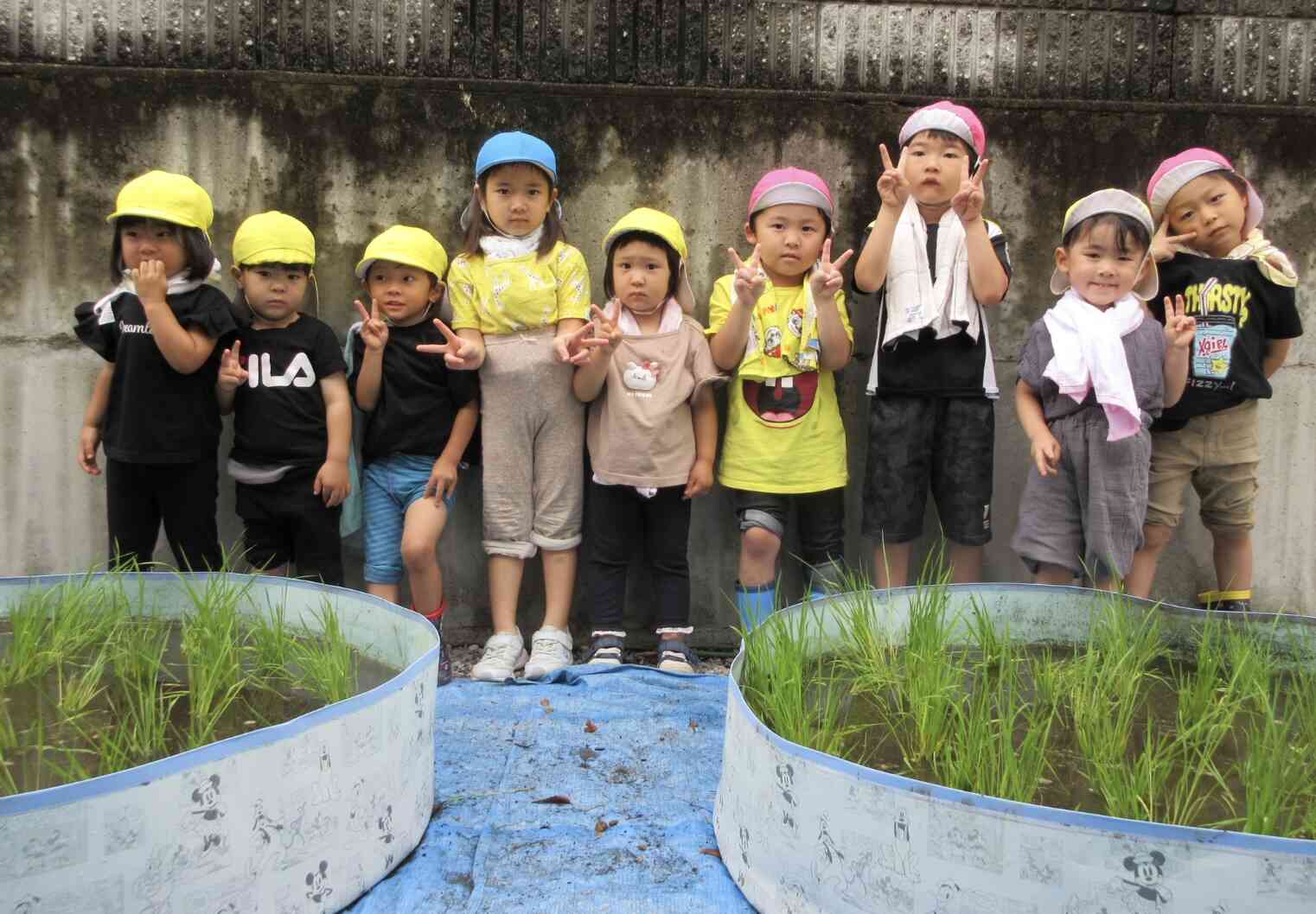 田植え（3・4・5歳児）