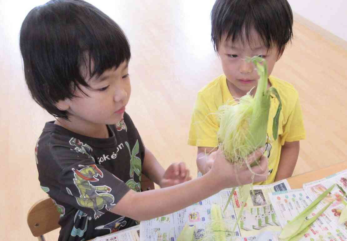 とうもろこし剥いてみたよ（3・4・5歳児クラス)