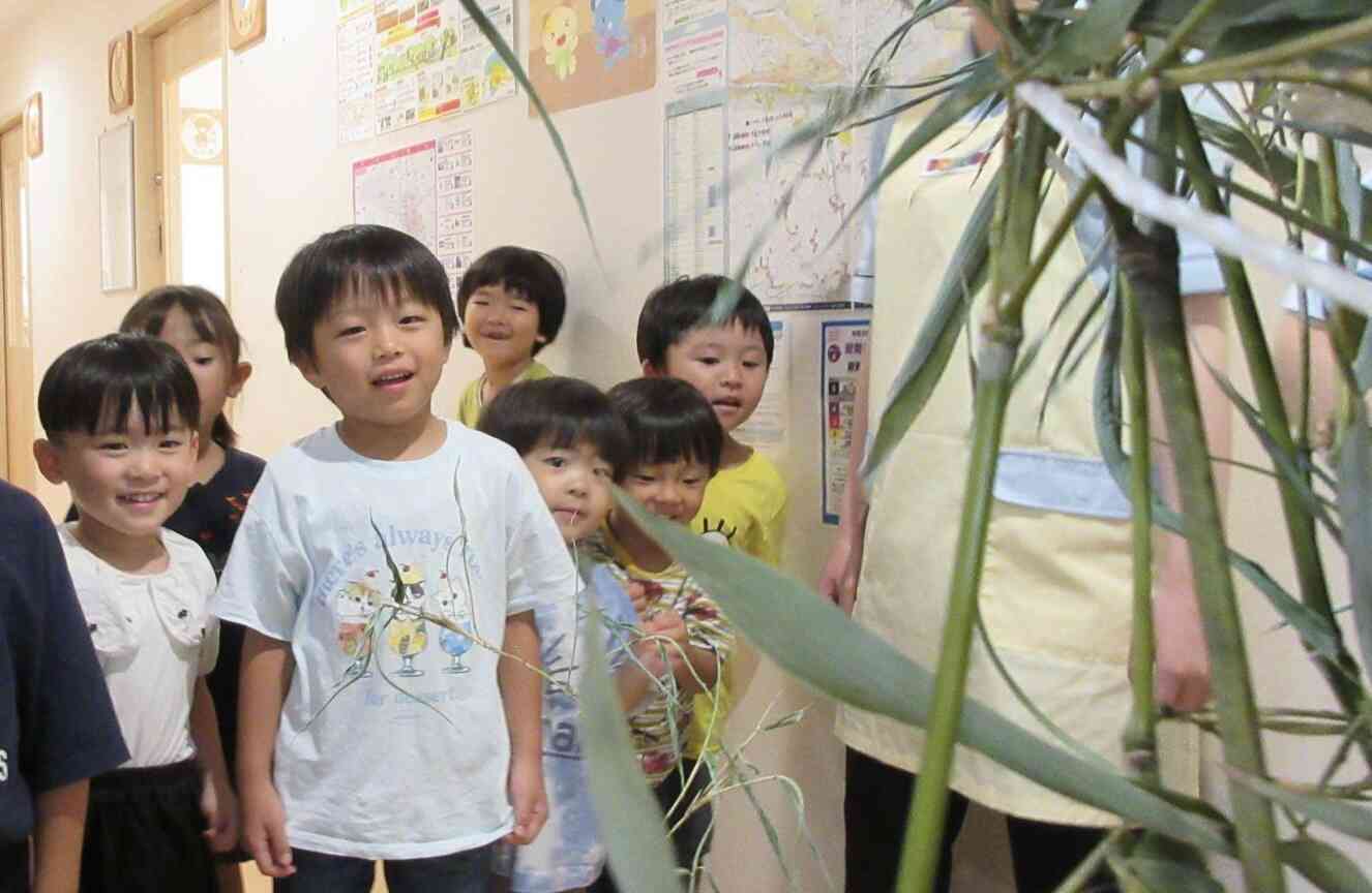 笹の中を覗いてみました（3・4・5歳児）