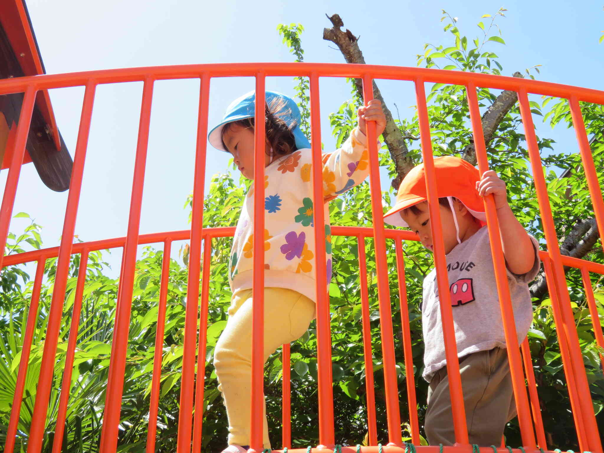 ５月８日　園外保育①☆