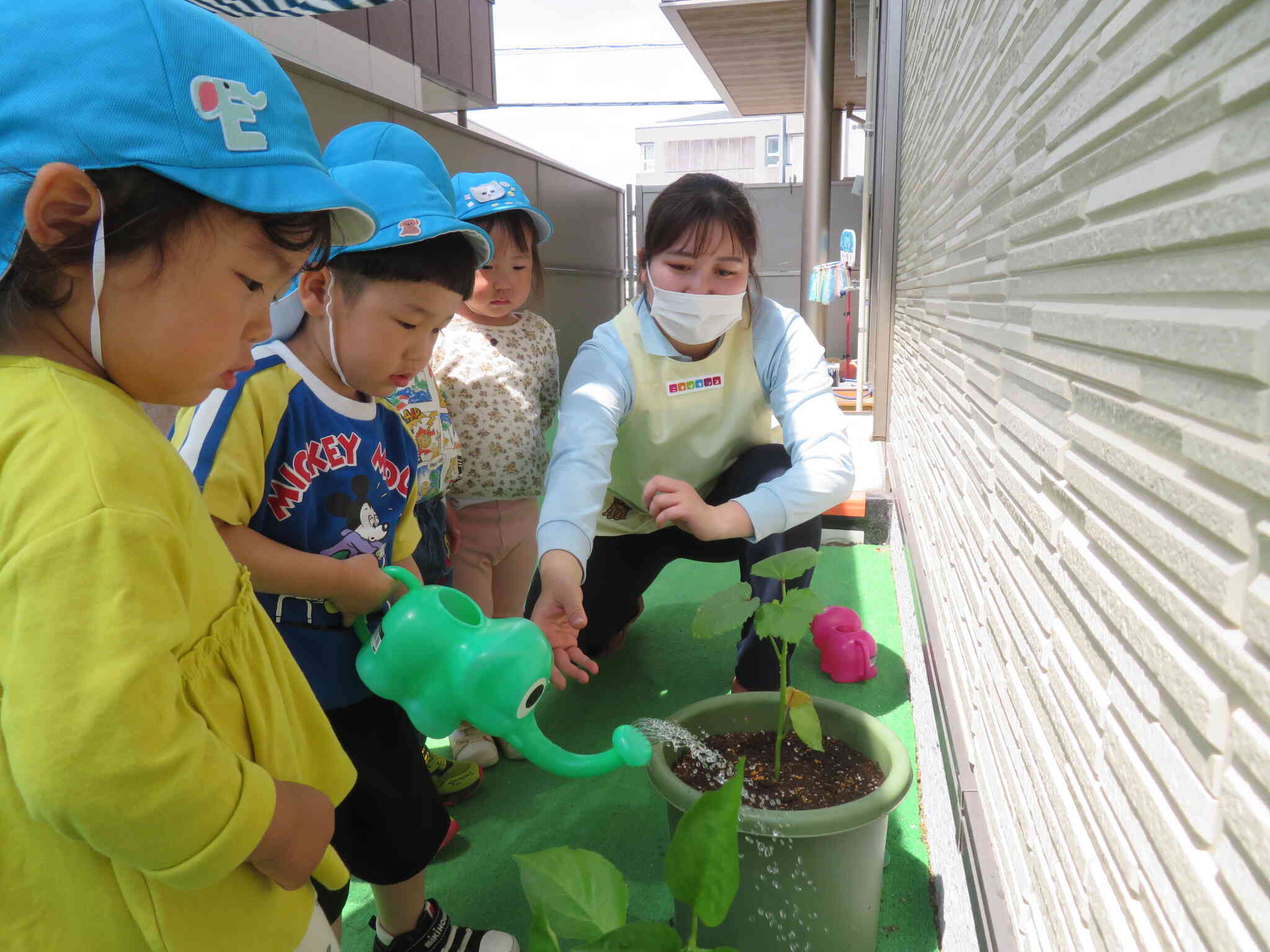 うさぎ組　夏野菜の苗植☆