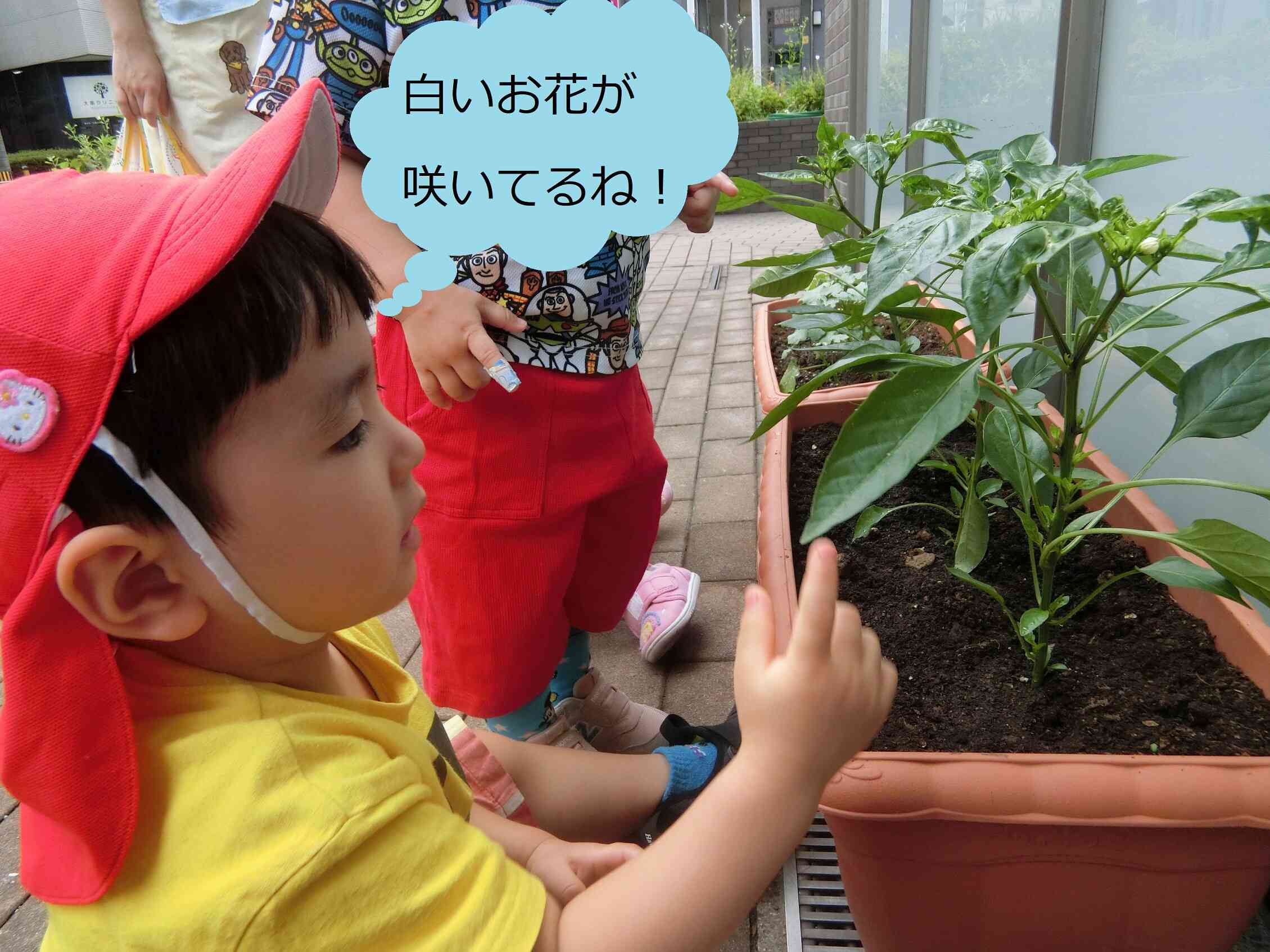 あった！！