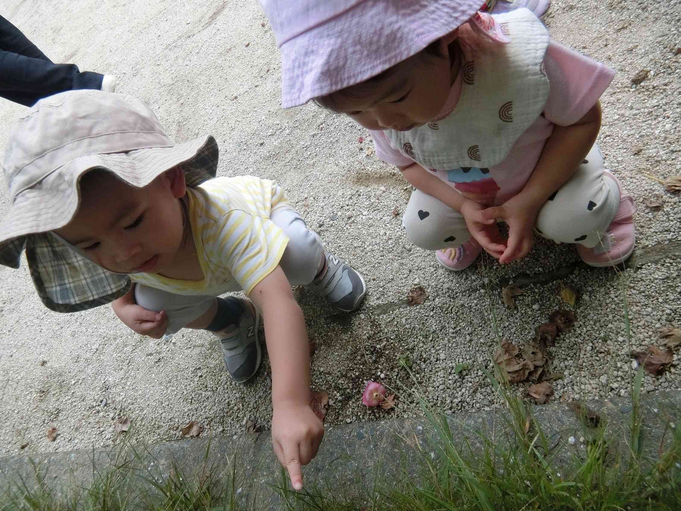 長浜公園