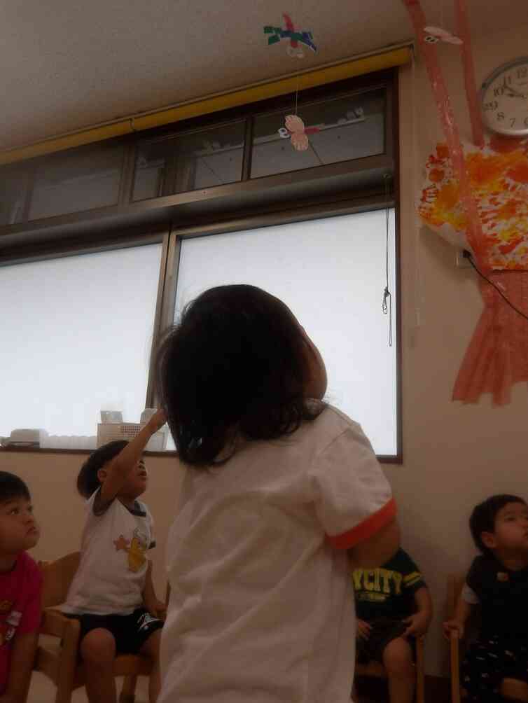 大きな木！！