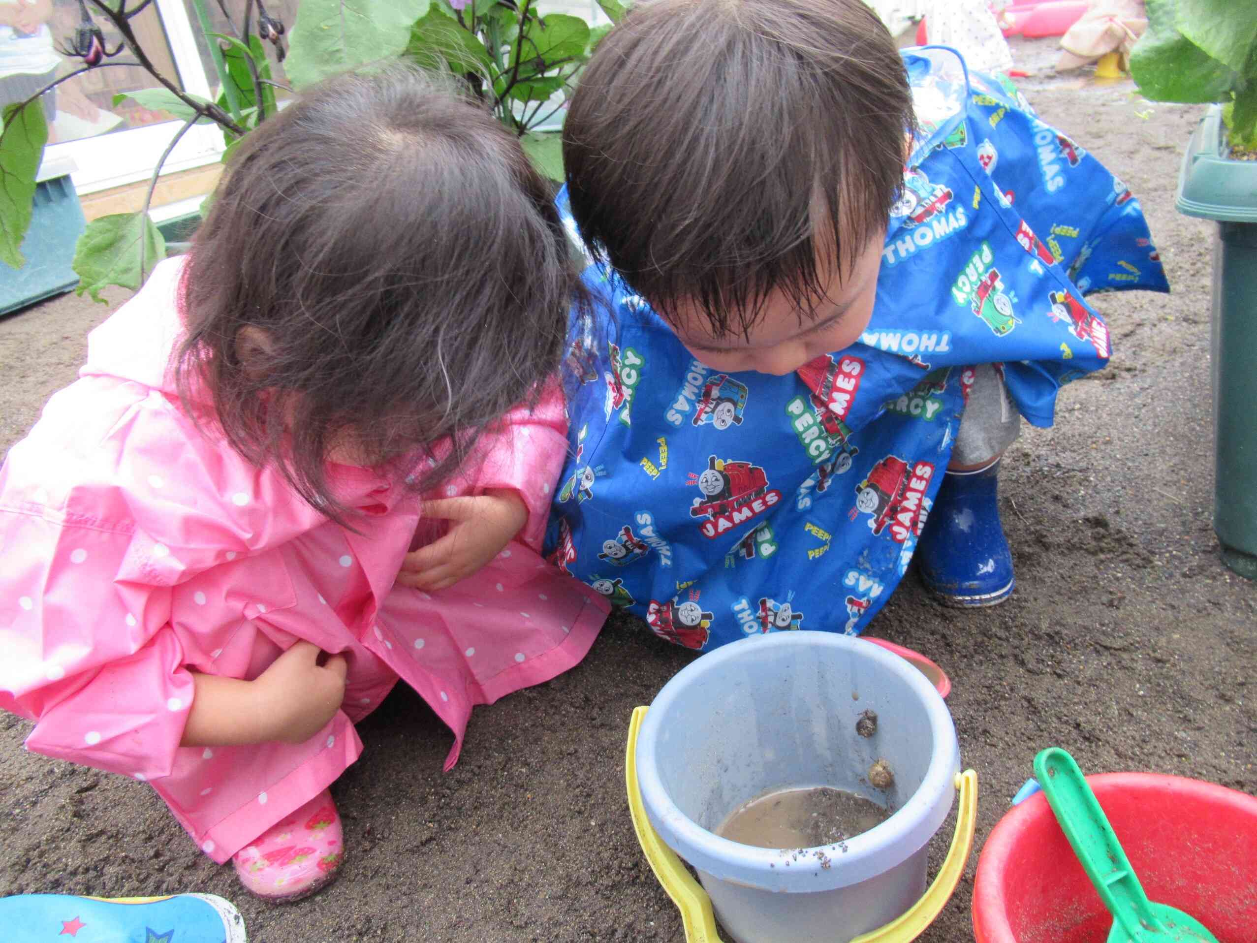 バケツの中にかたつむりが2匹。登ってくる様子をじ～っと観察しました。