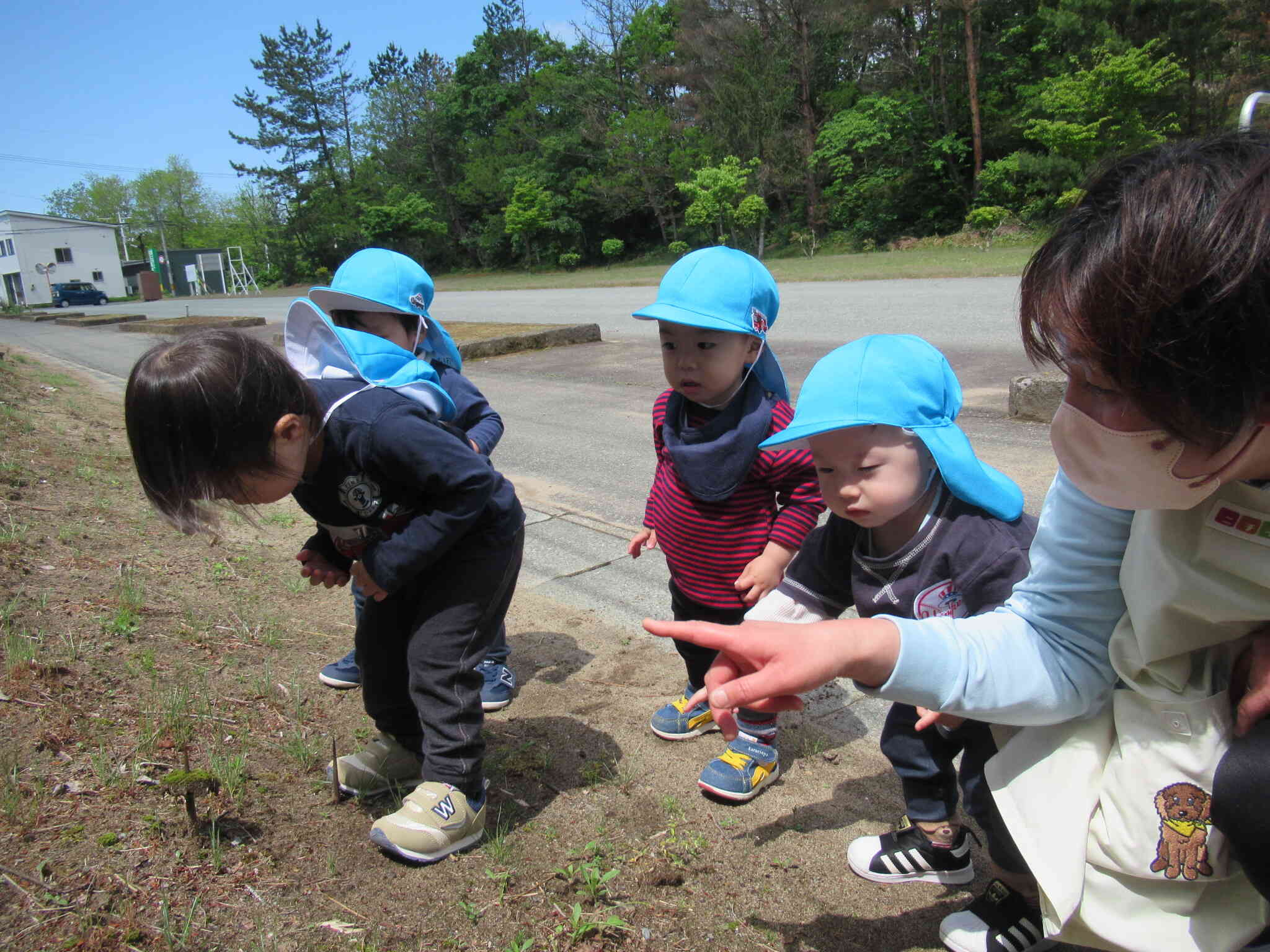 じーっと観察中の子ども達