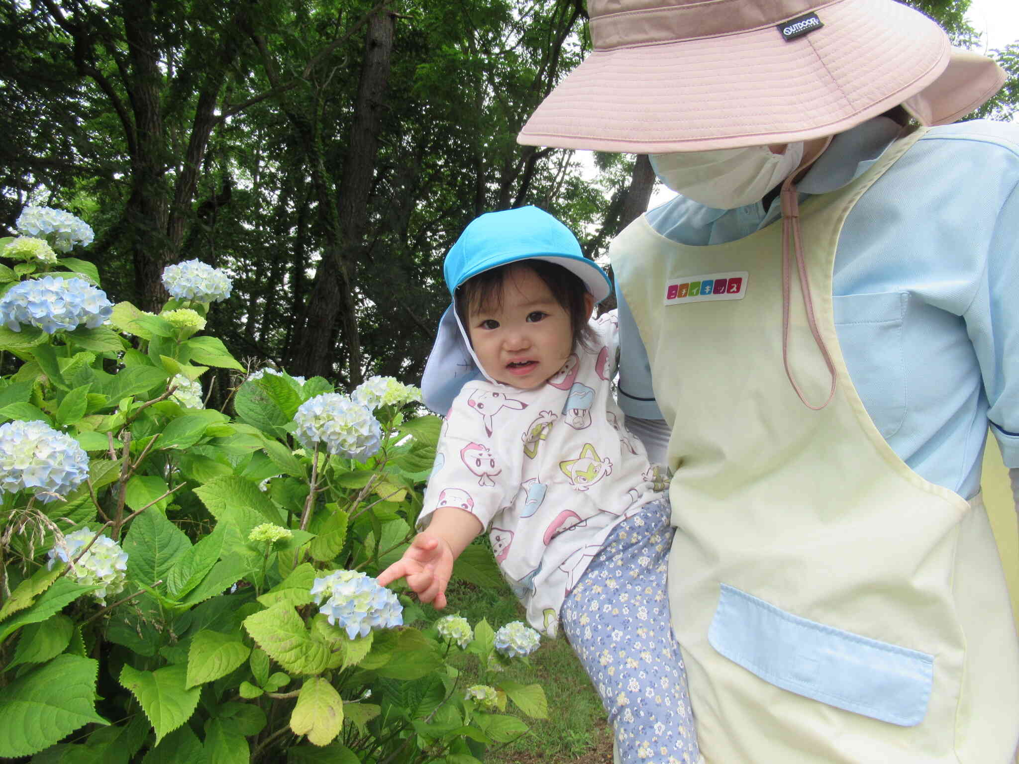 梅雨の自然探し～あひる組（1歳児）、ひよこ組（0歳児）
