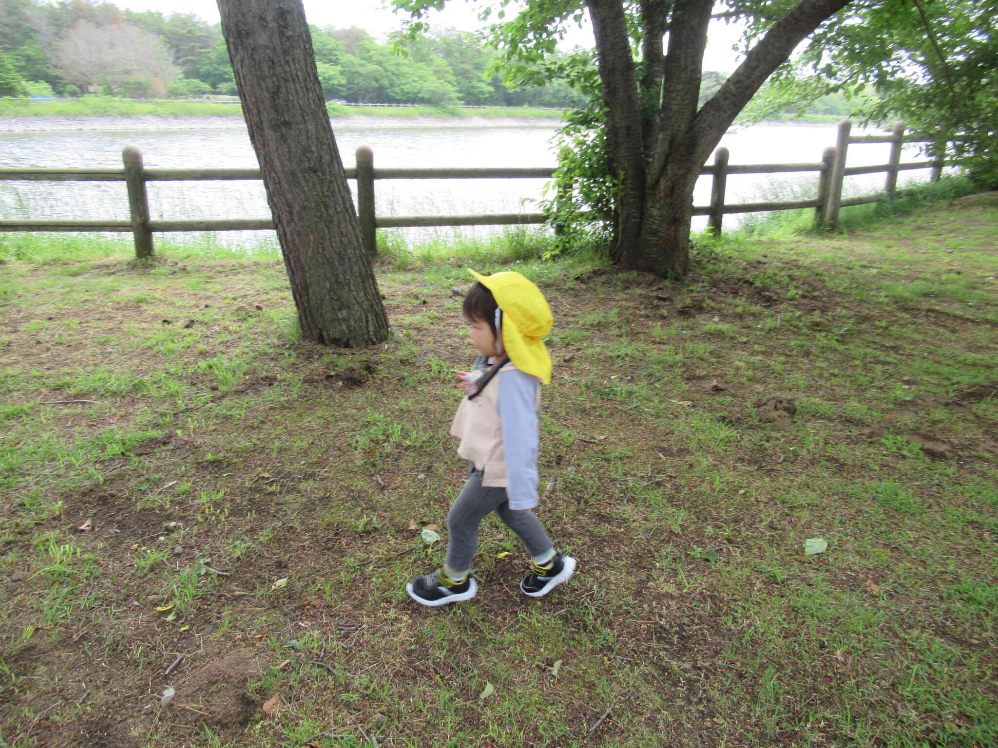 かけっこ楽しいね。