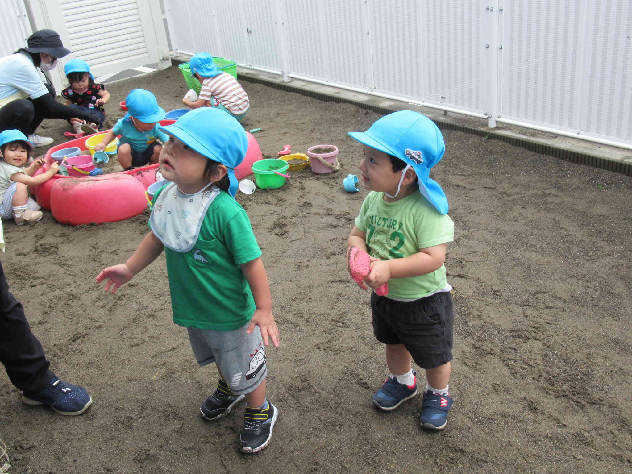 「あっ！むし」とじーっと観察。先生の真似っこをして「とーぼ」も言えました。