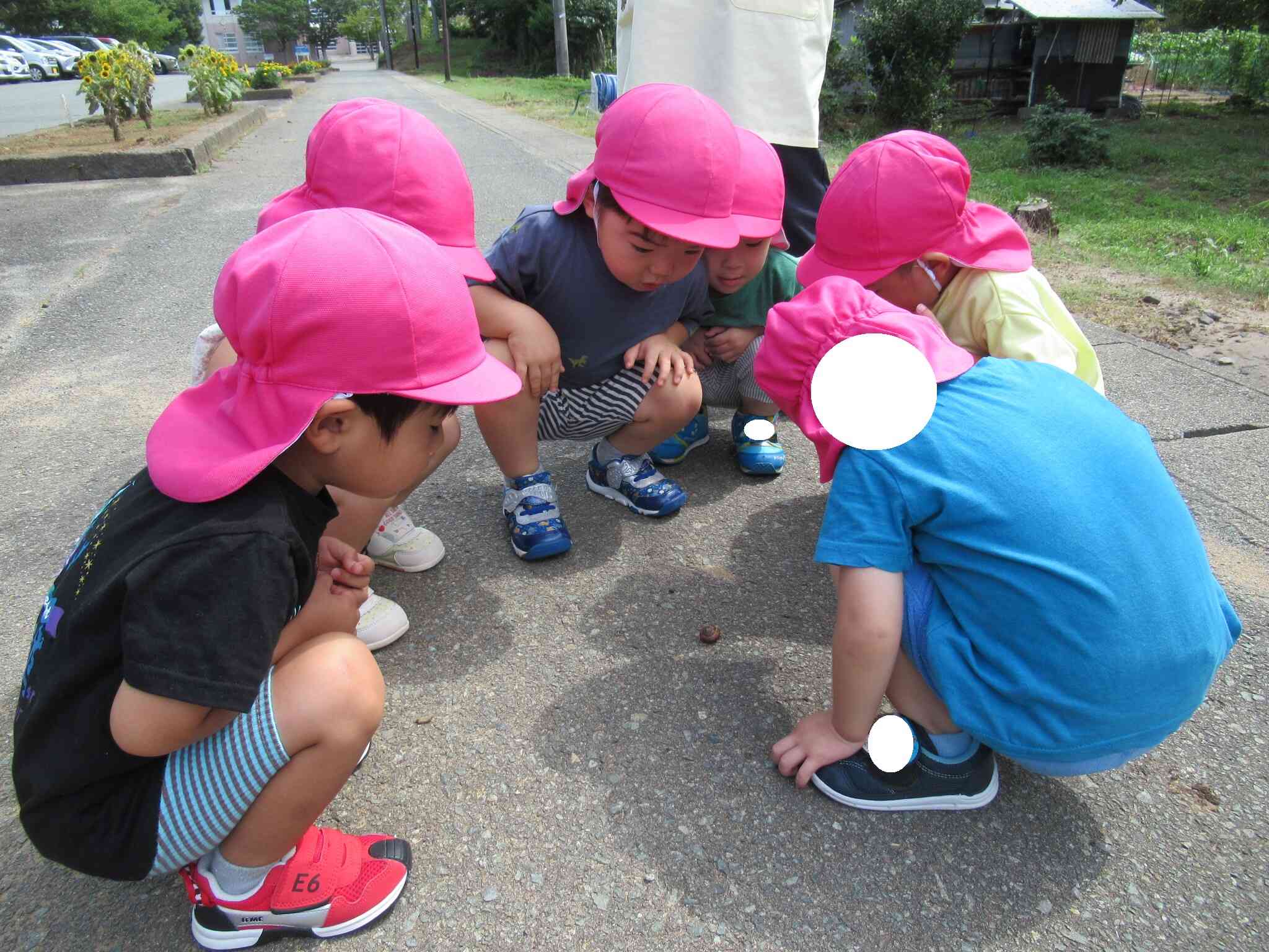 発見がたくさんあったお散歩～2歳児うさぎ組～