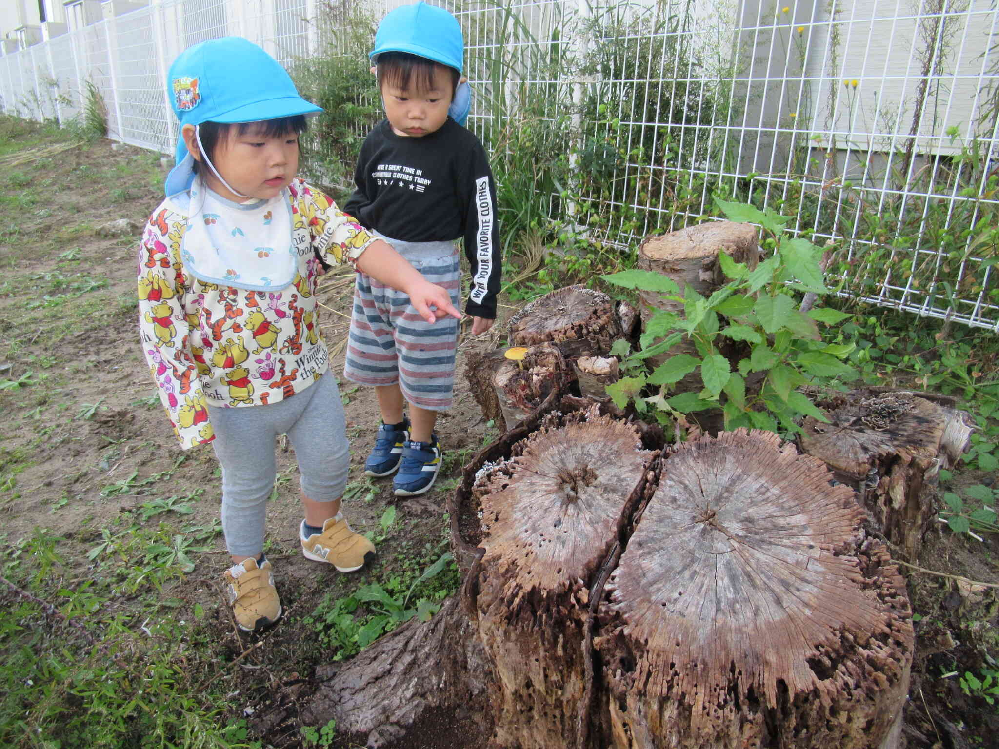 たくさん発見したよ～あひる組（1歳児）