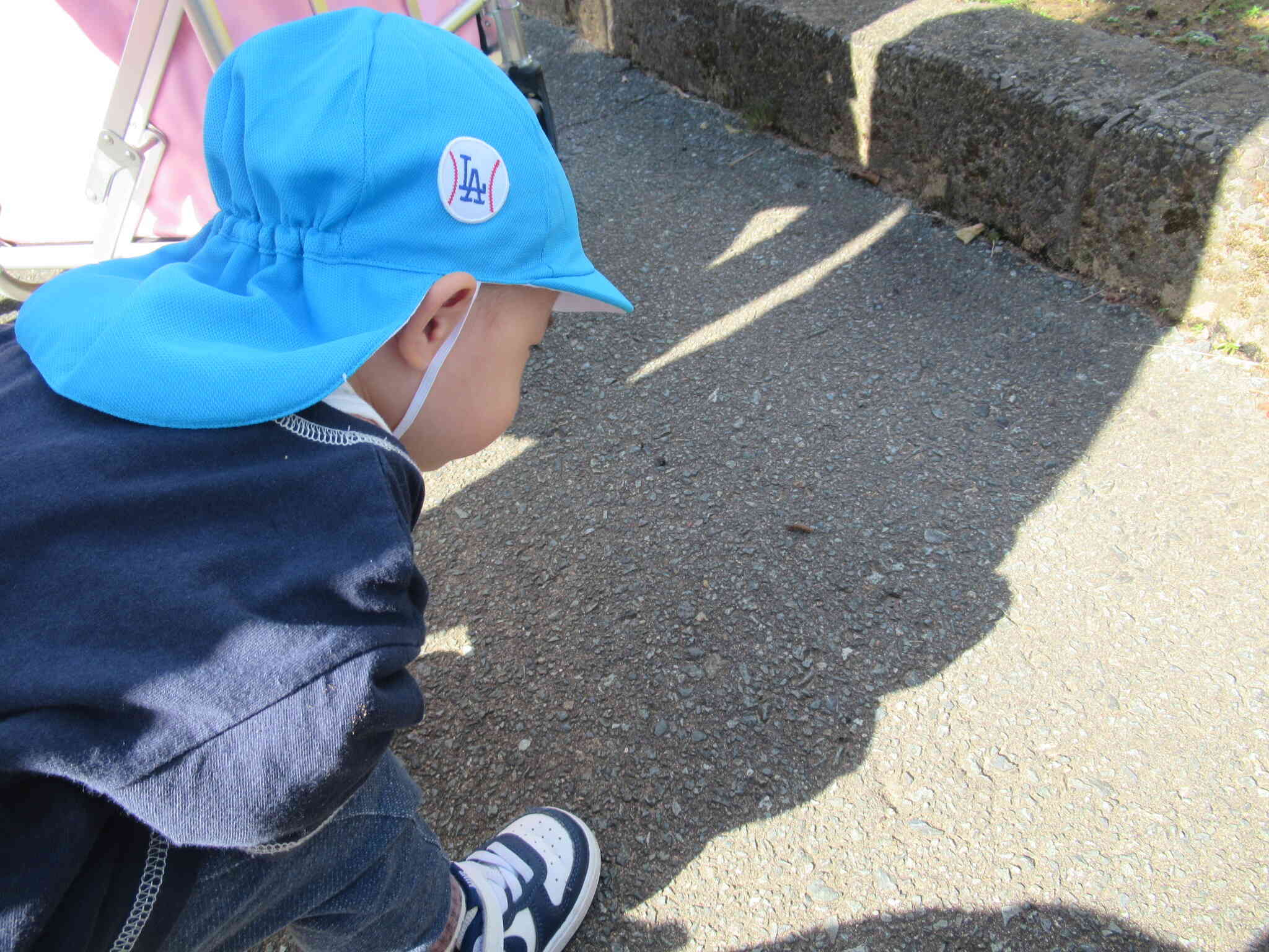 イモムシ発見！