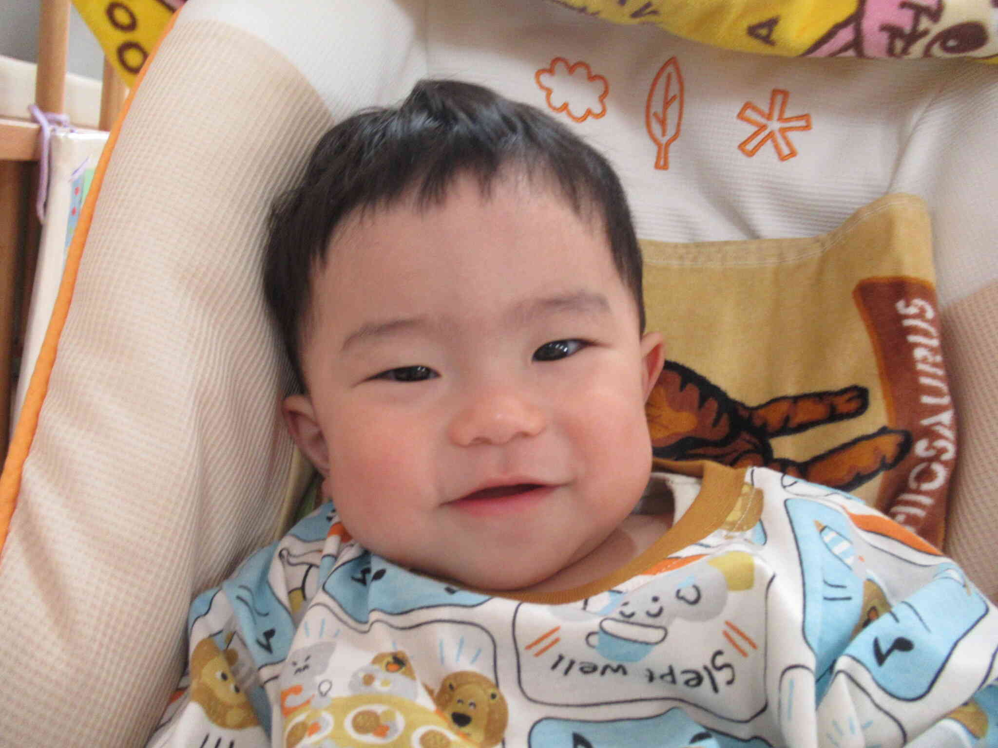 みんなよろしくね～ひよこ組（0歳児）～