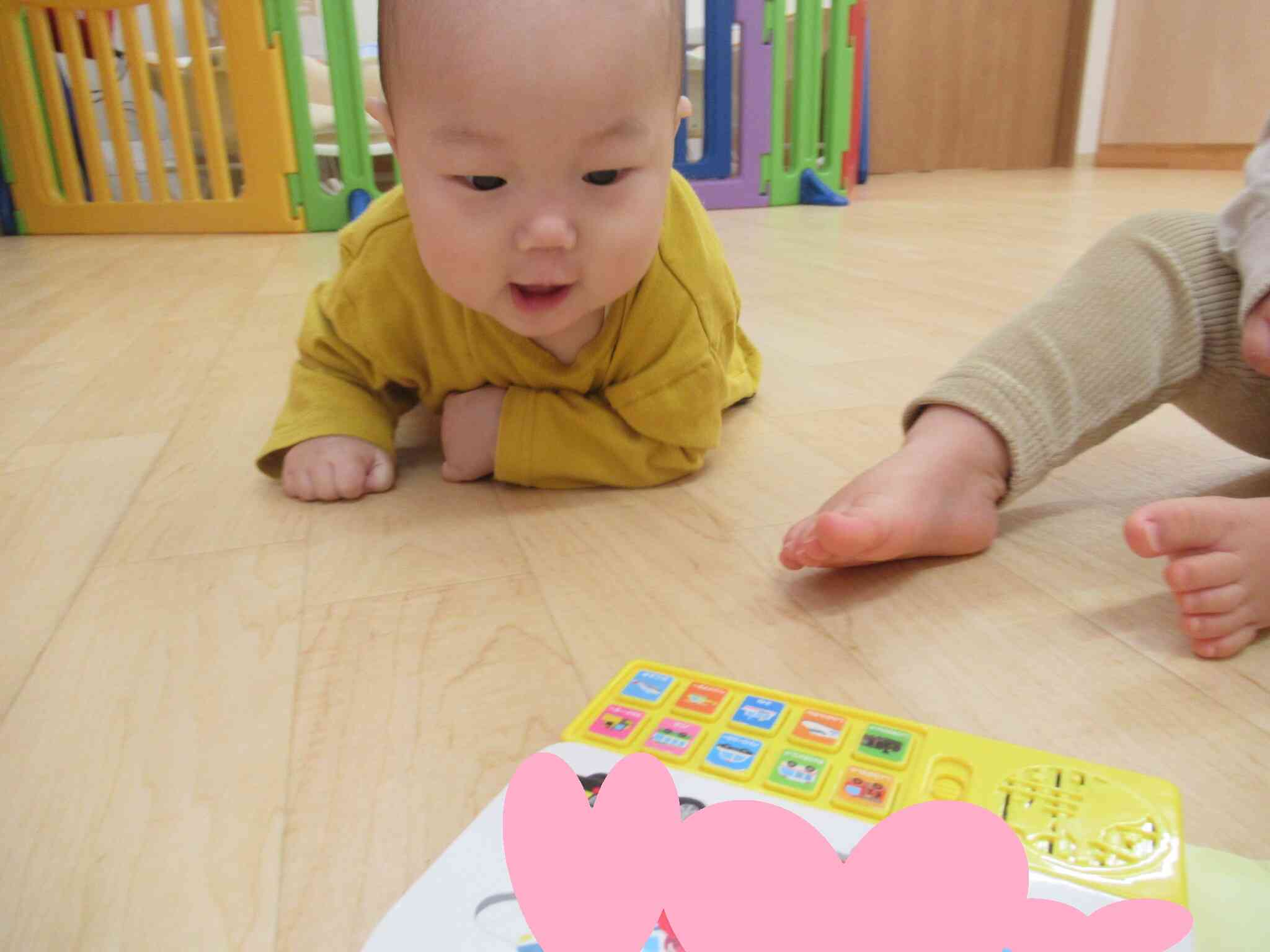 「いいもの、みーつけた!」目でロックオンしています。