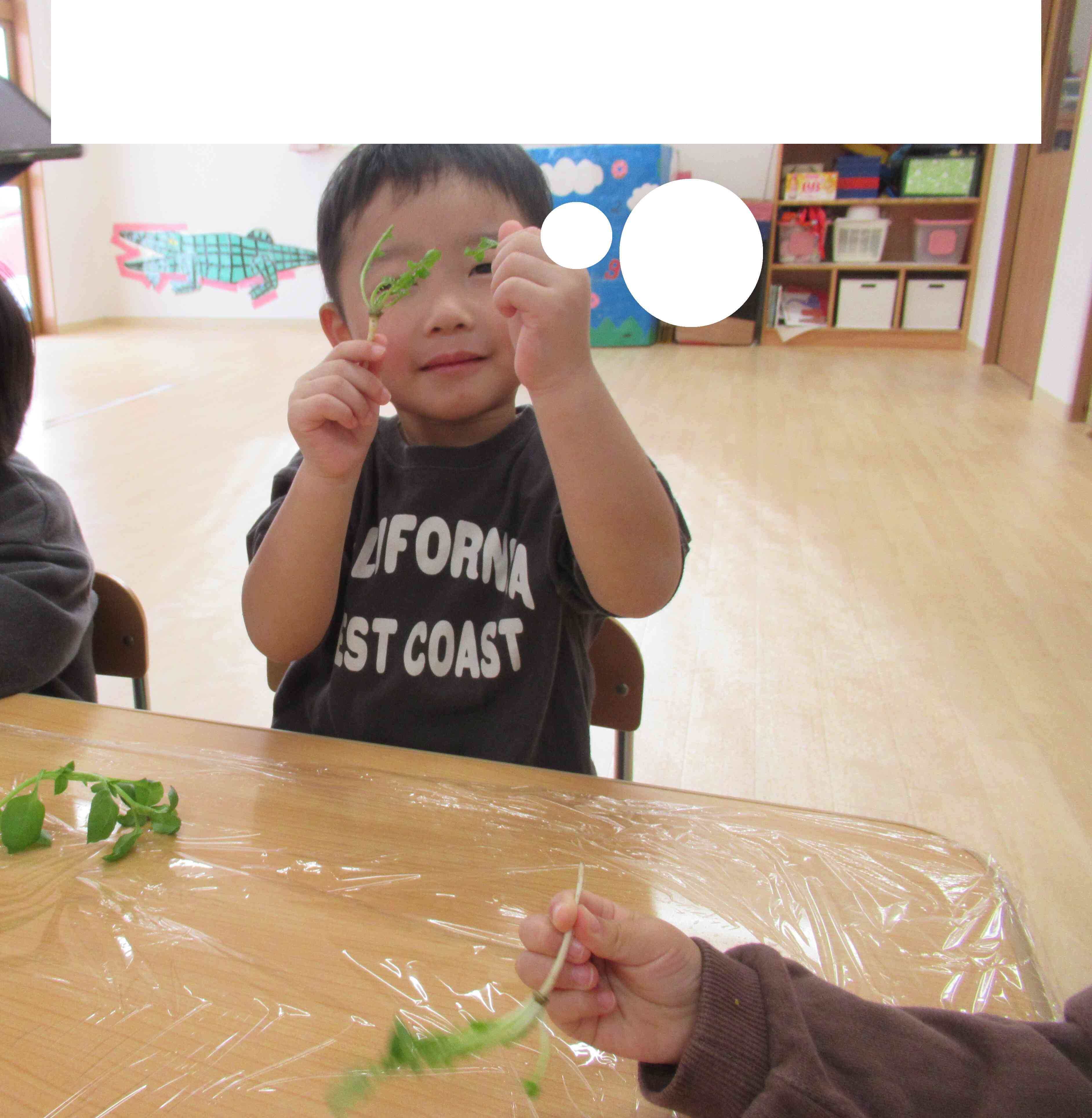 食育活動～七草に触れよう～